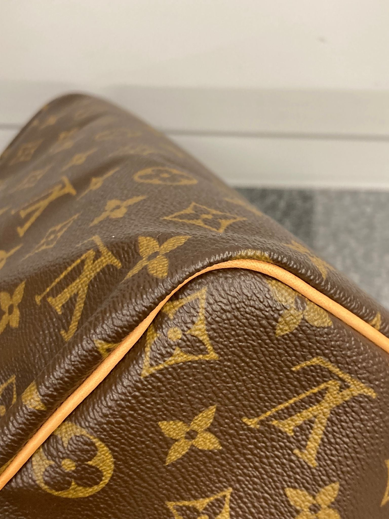 Louis Vuitton speedy 30 monogram
