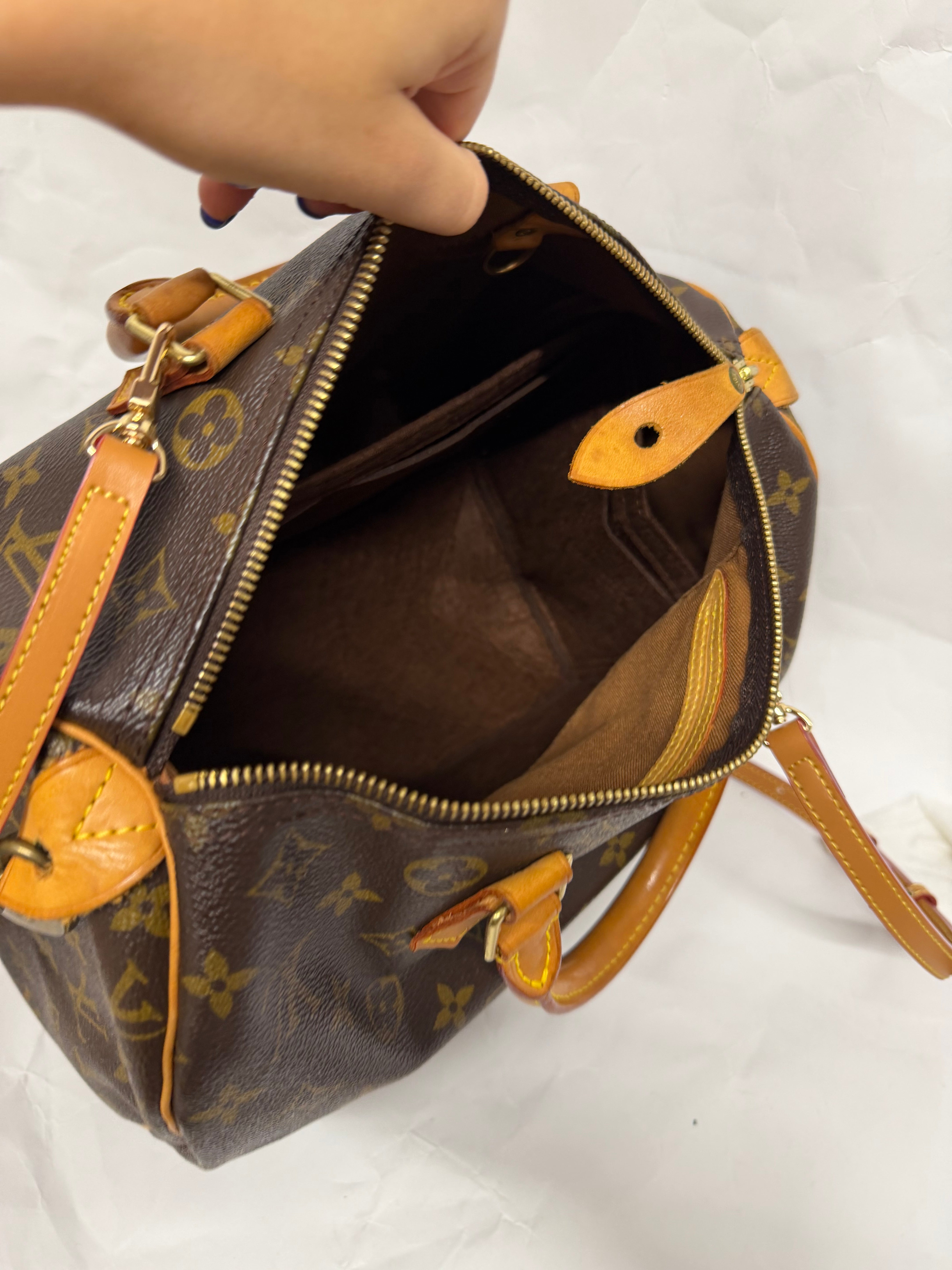 Louis Vuitton Speedy 30 Monogram