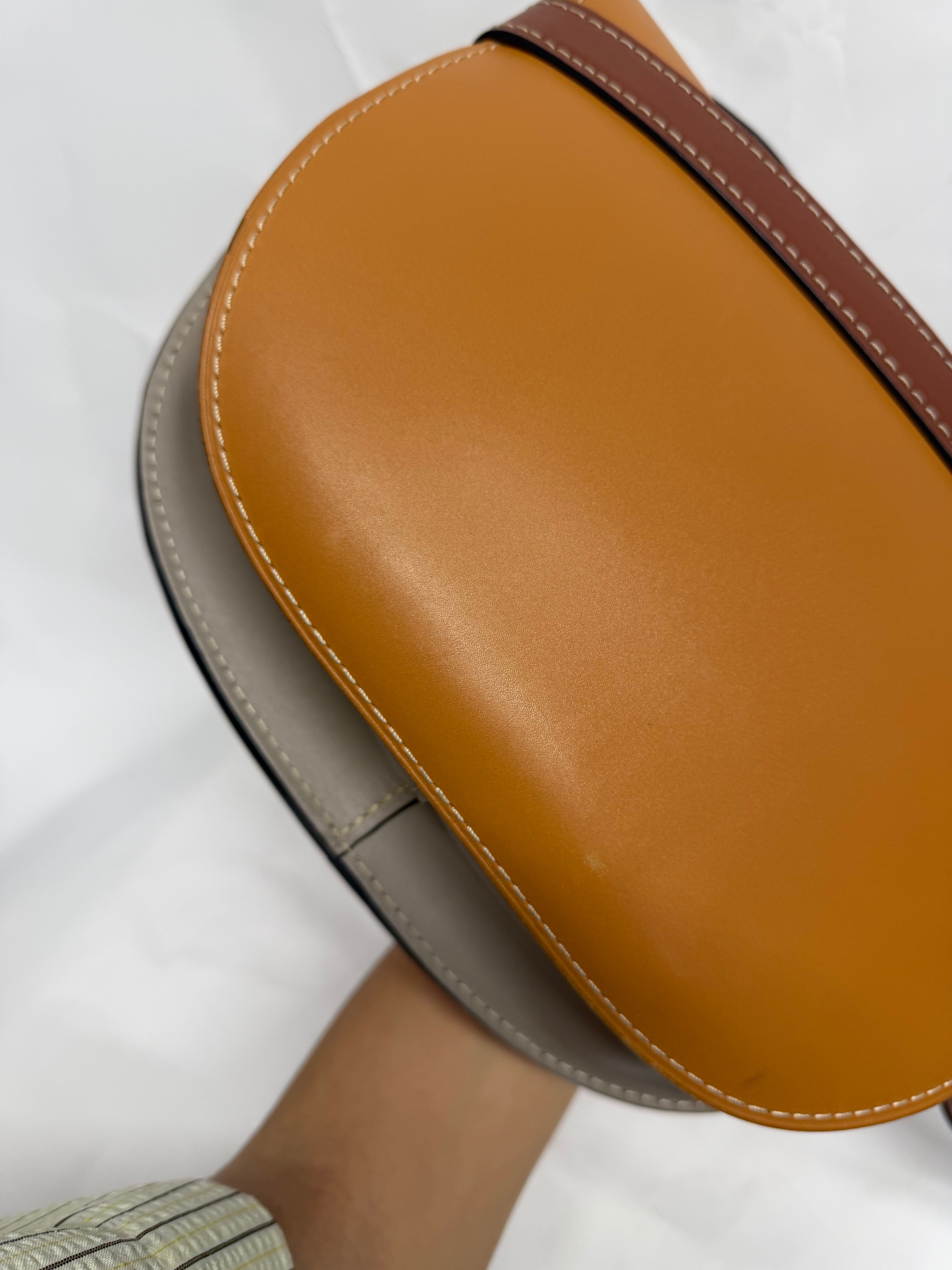 Loewe gate tricolor grande bandolera