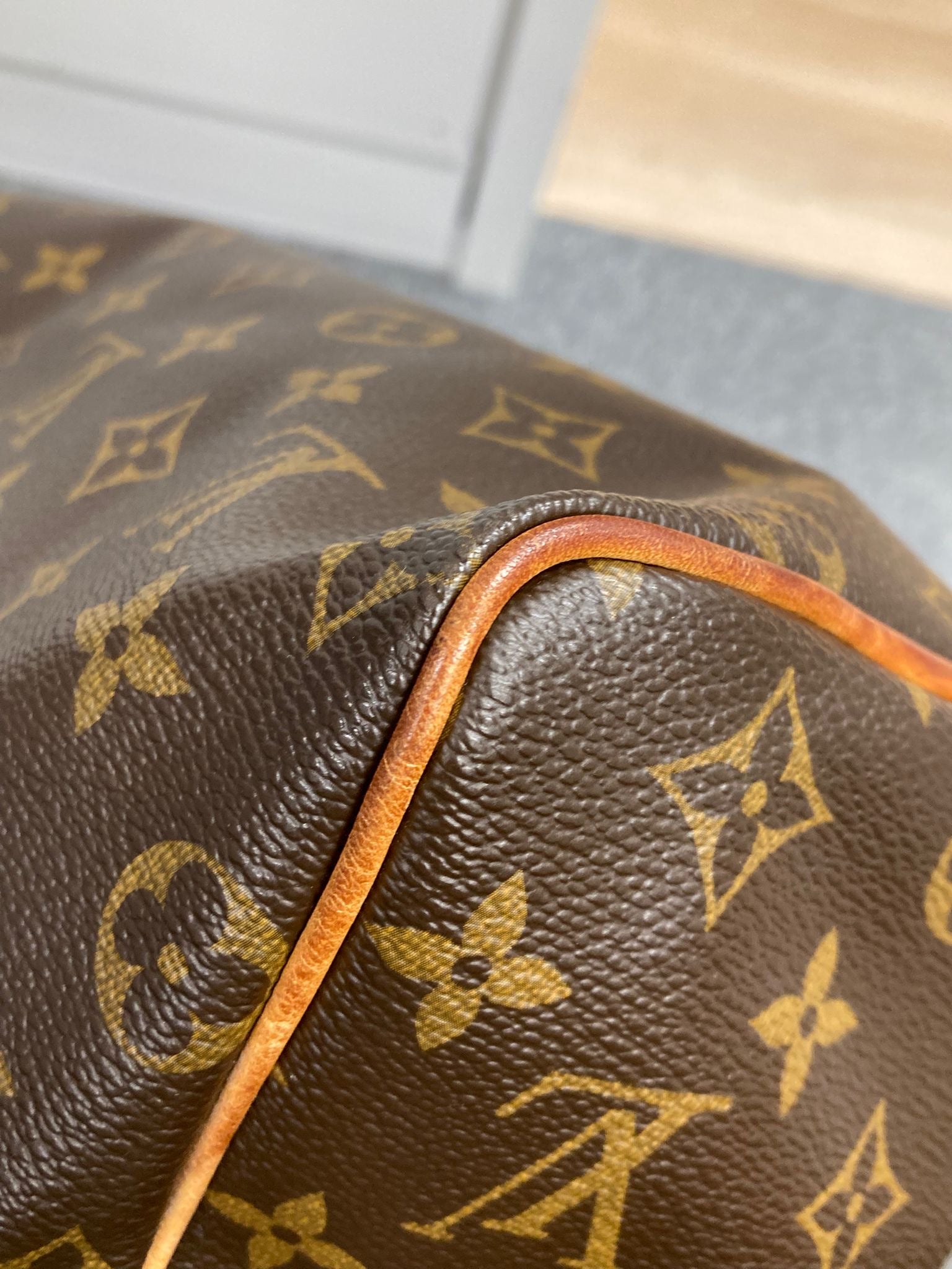 Bolso Louis Vuitton Speedy 25 Monogram Canvas