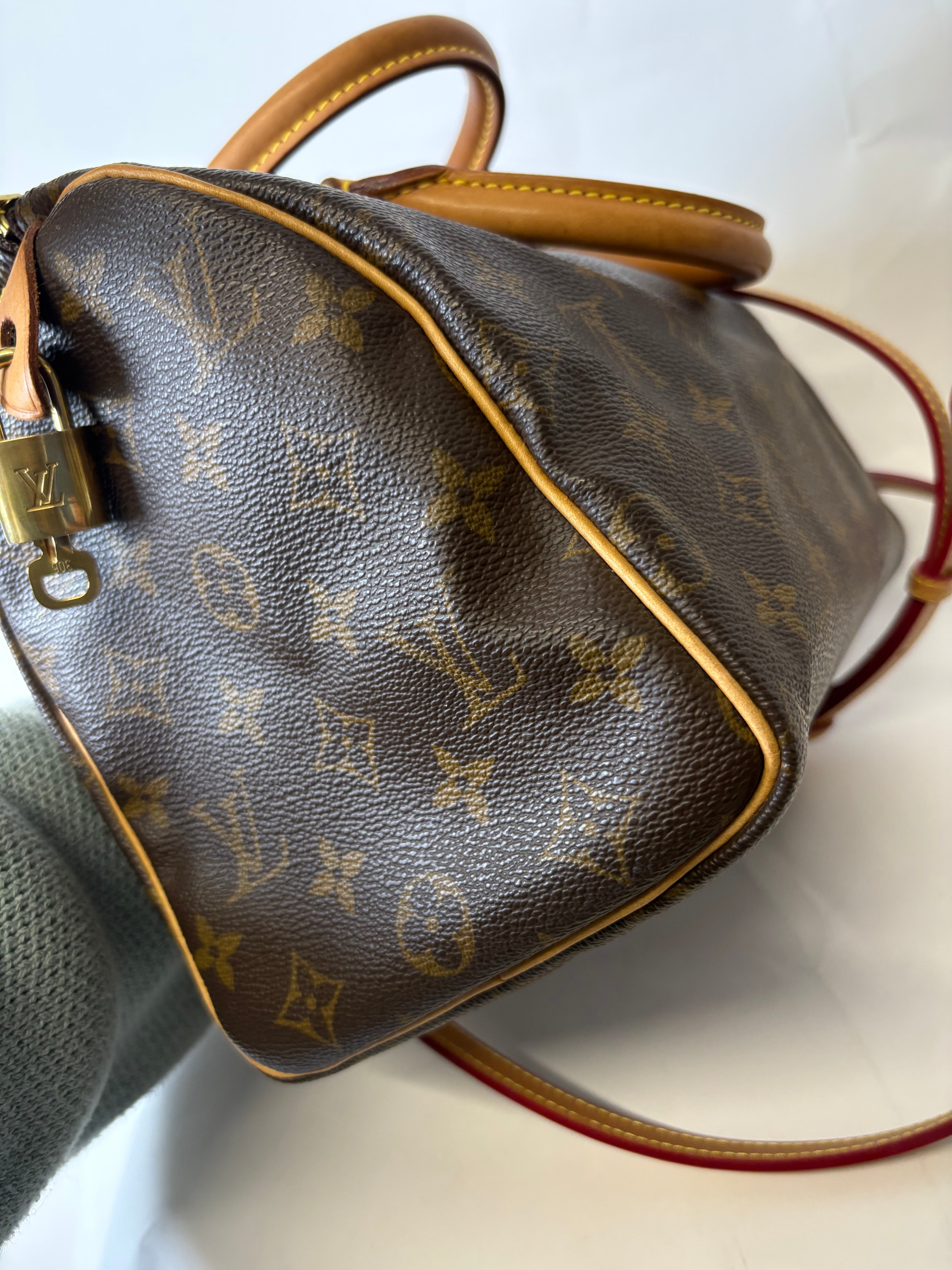 Louis Vuitton speedy 25 canvas Monogram SP1909