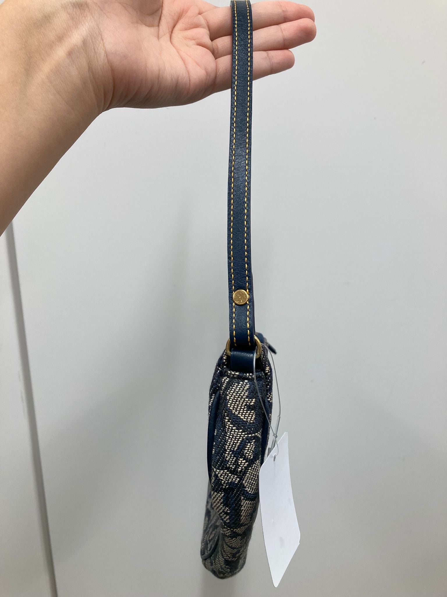 Dior saddle pouch monogram azul