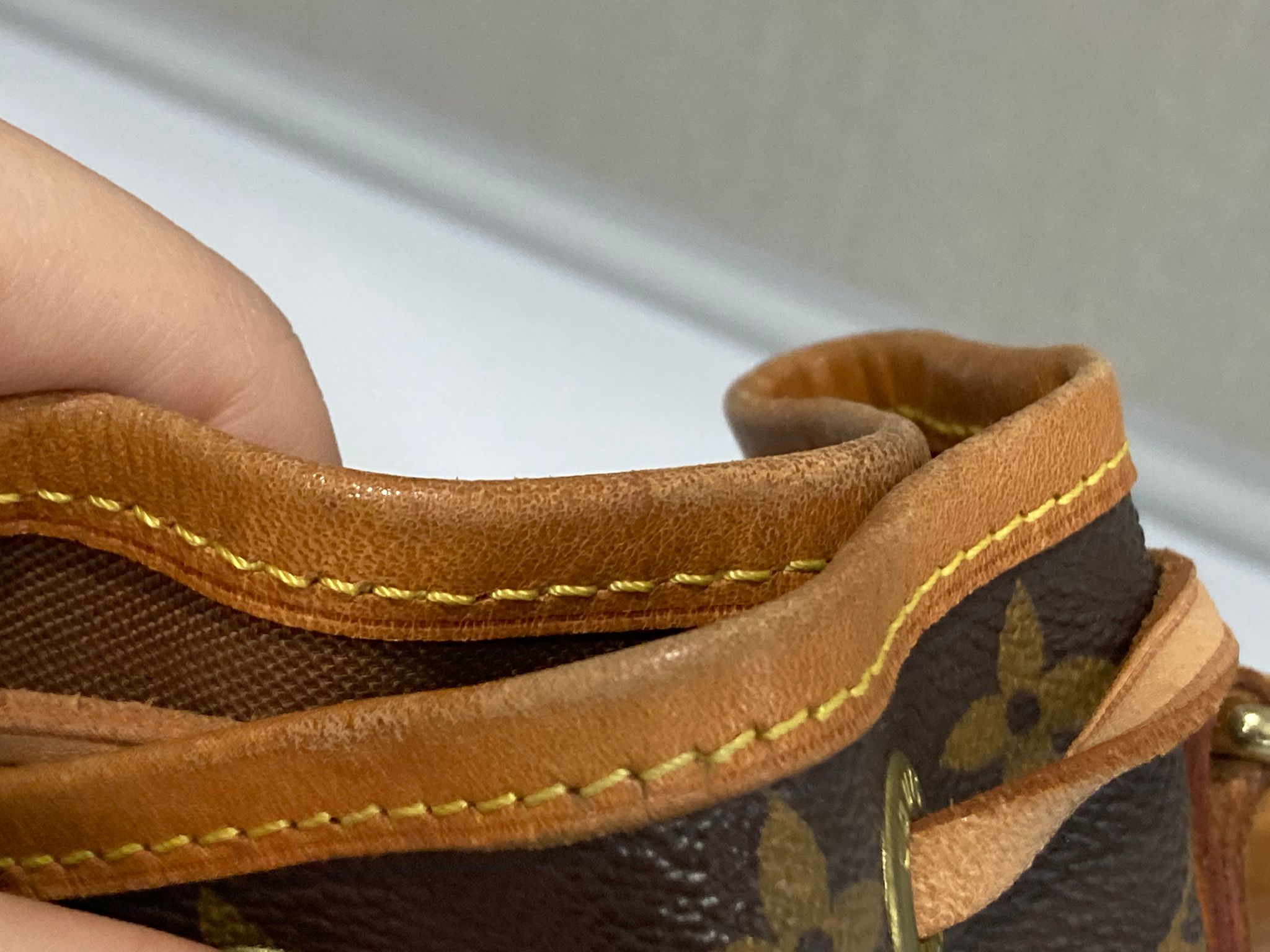 Louis Vuitton Petit Noé canvas monogram