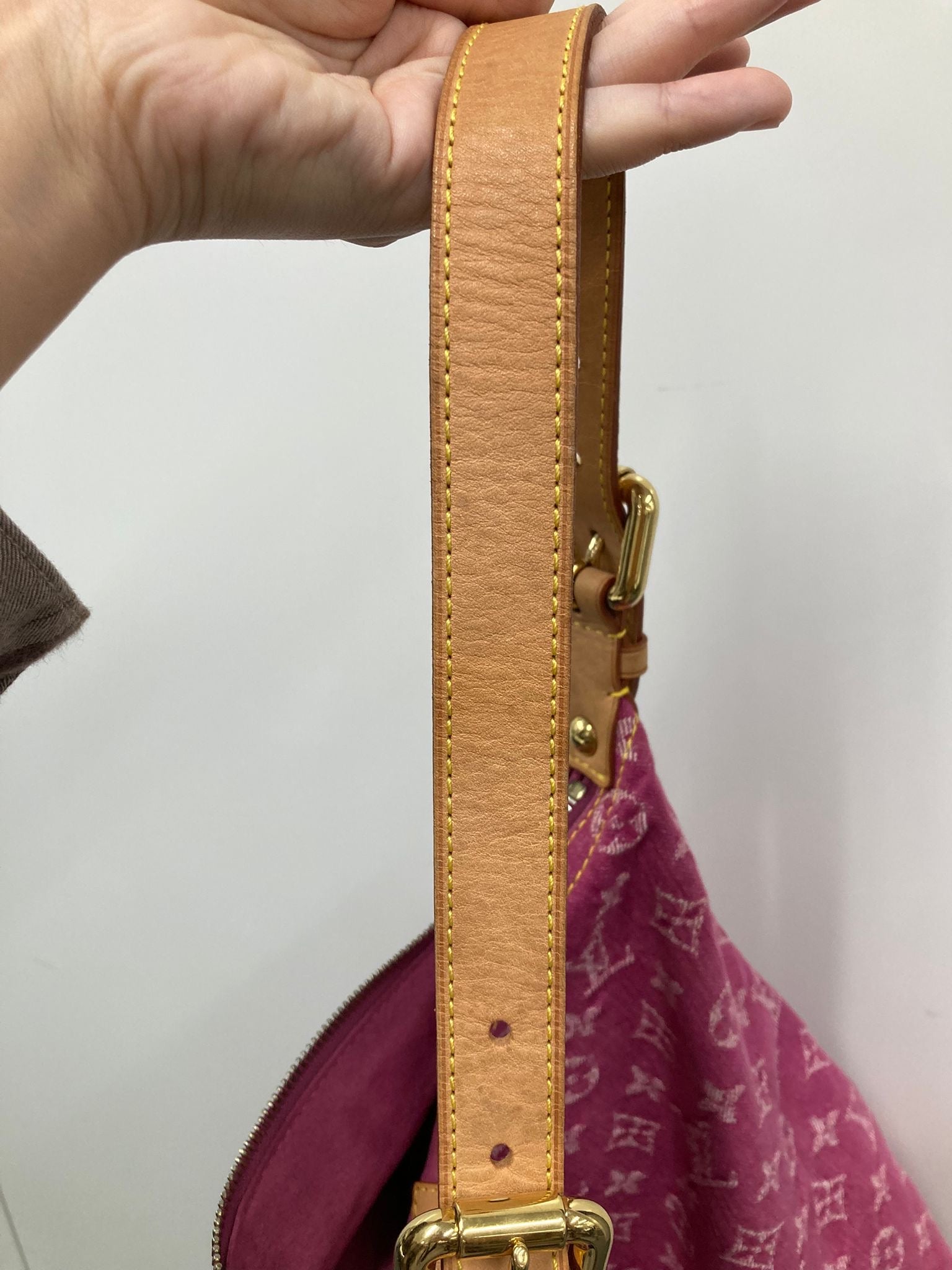 Bolso Louis Vuitton Baggy GM Monogram Denim rosa