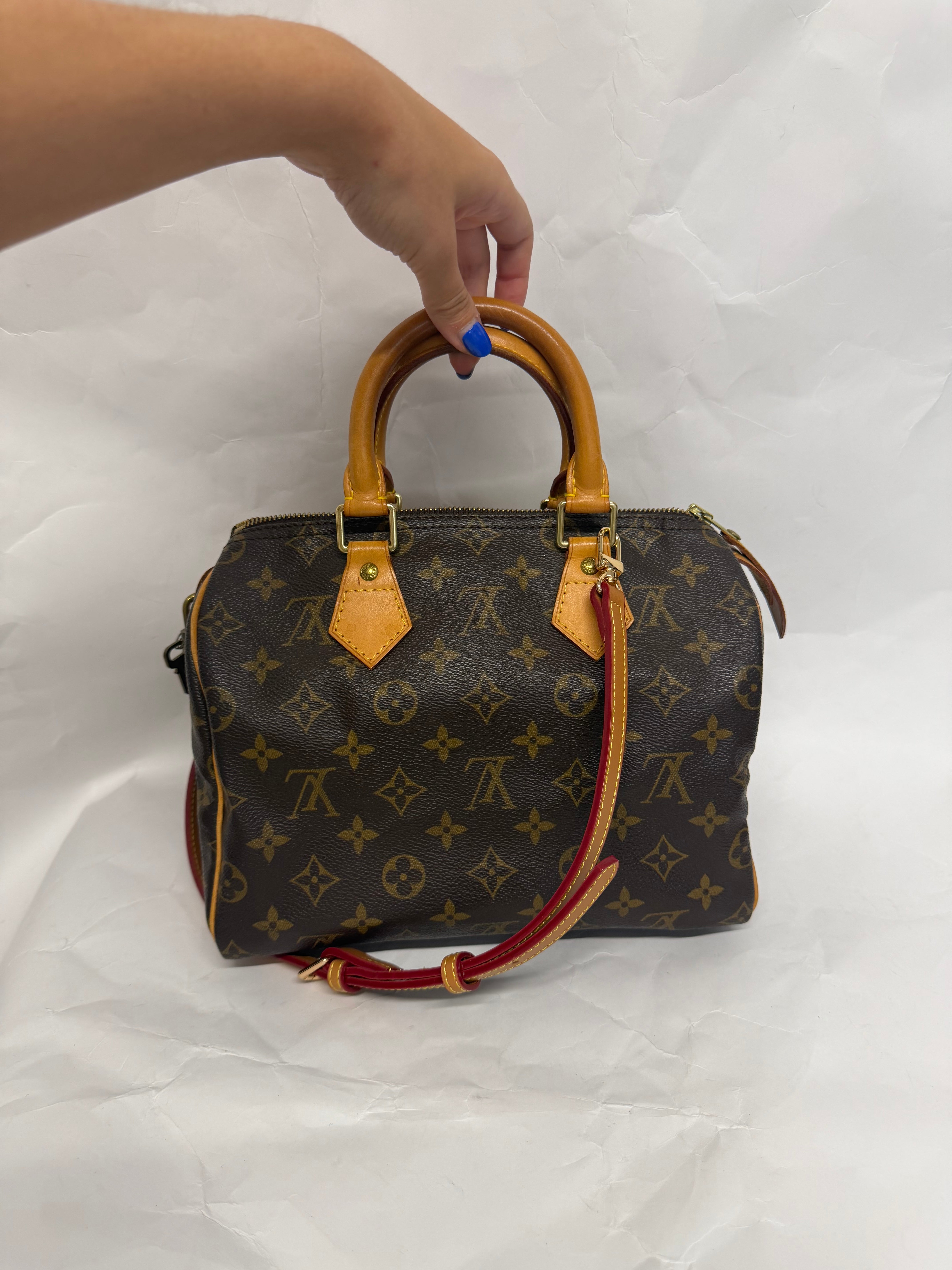 Louis Vuitton Speedy 25 | Monogram
