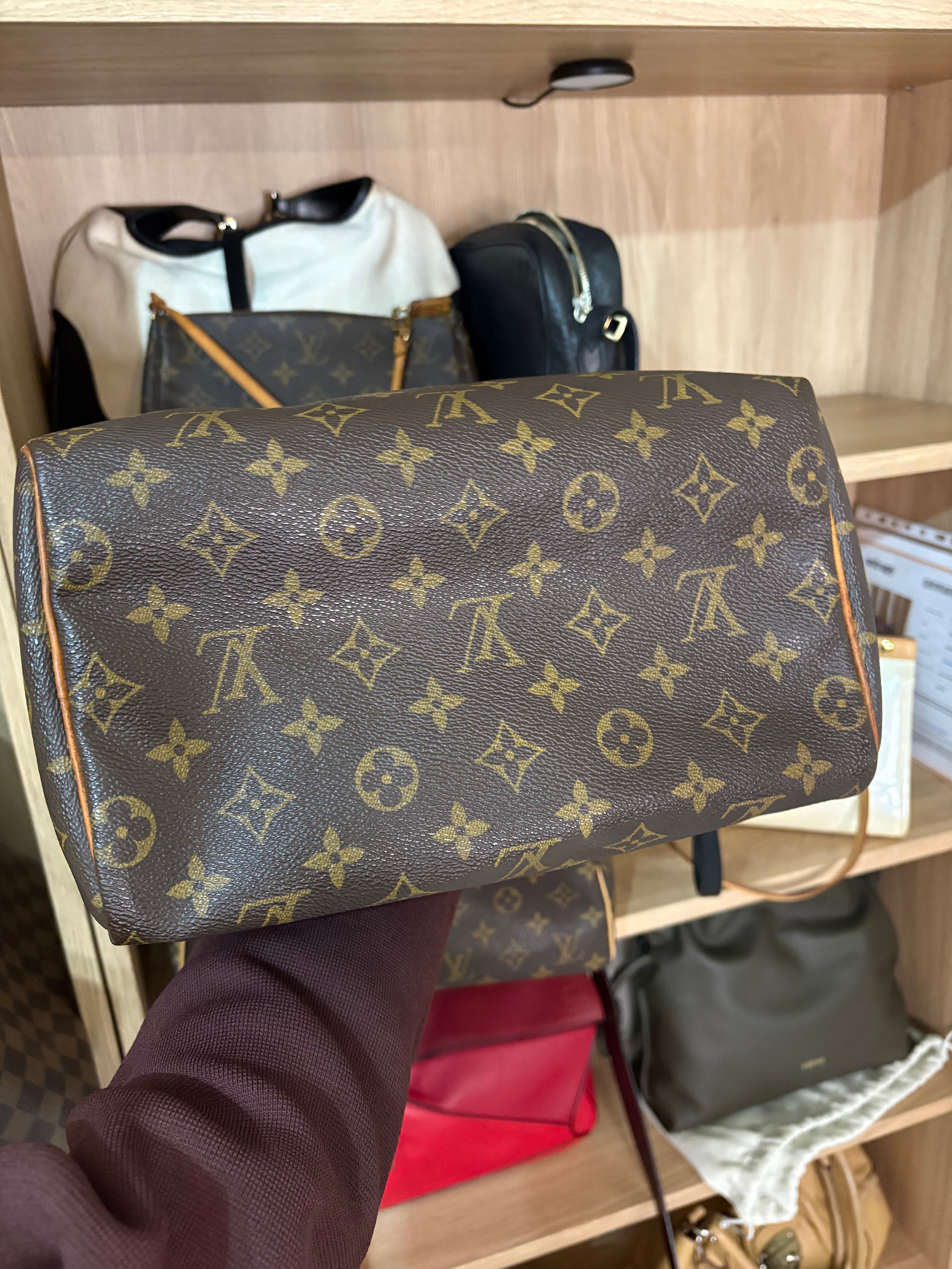 Louis Vuitton speedy 25 canvas monogram