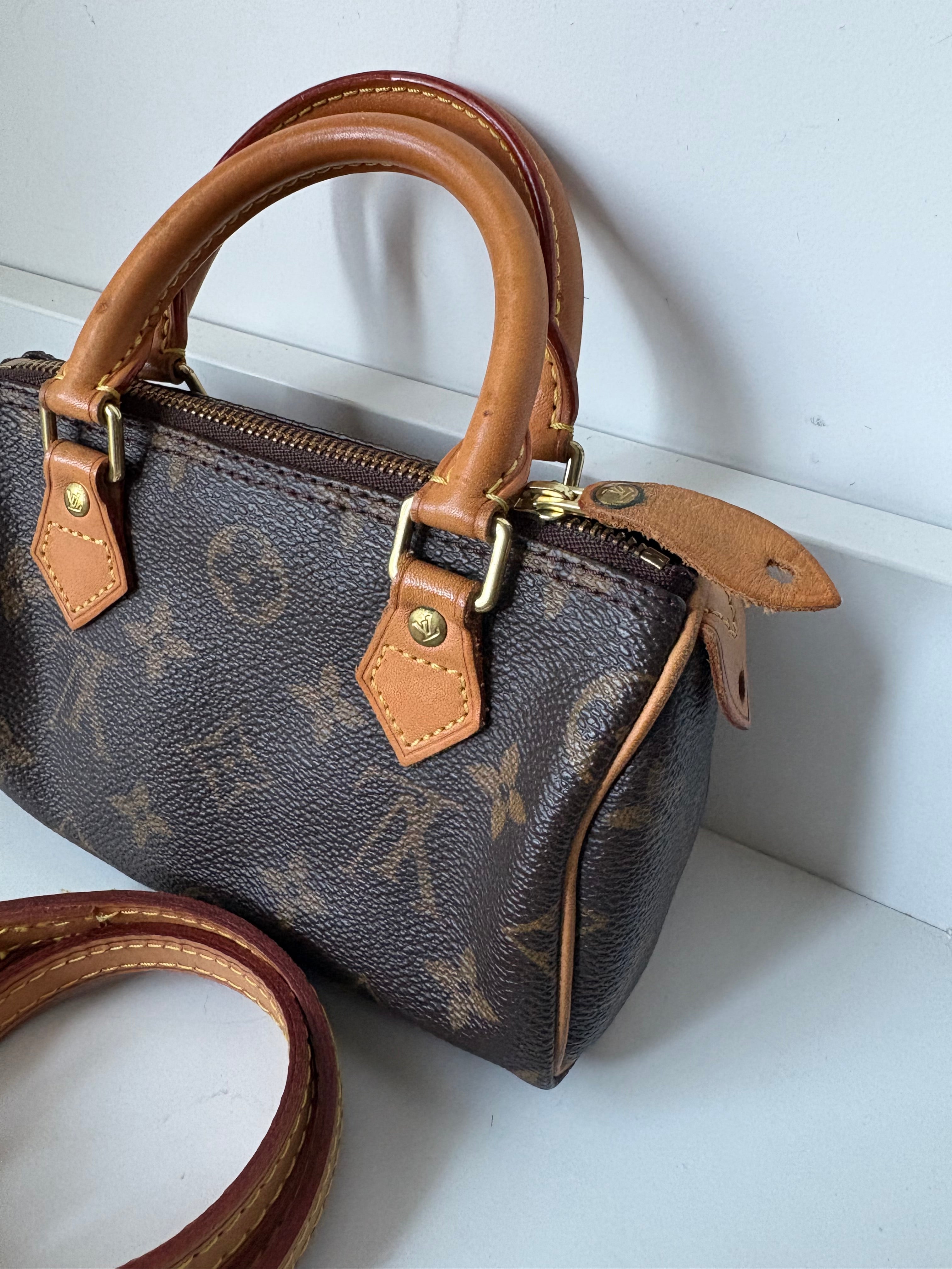 Louis Vuitton Nano Speedy Canvas monogram con correa