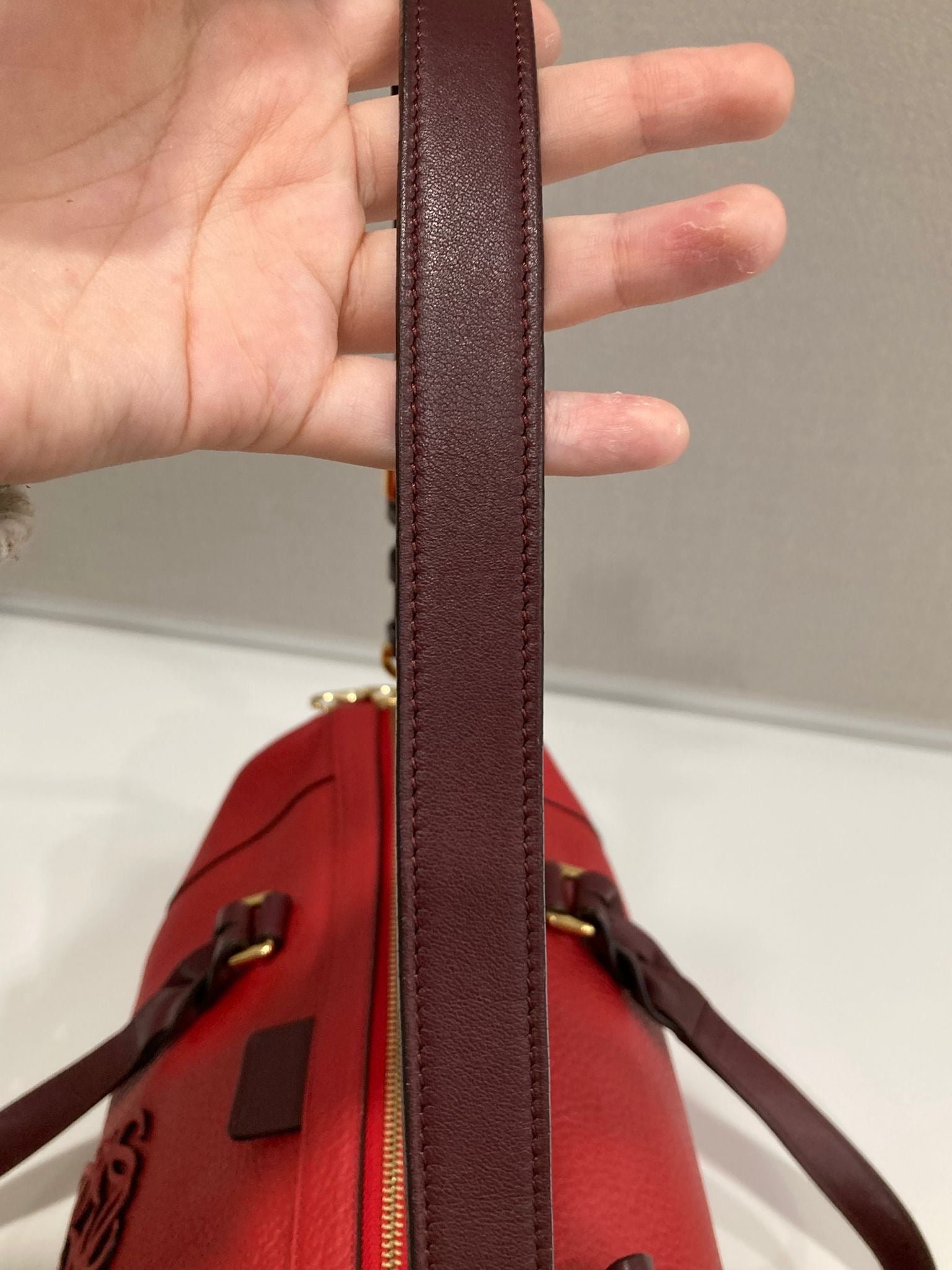 Loewe amazona 35 vintage bandolera roja y burdeos