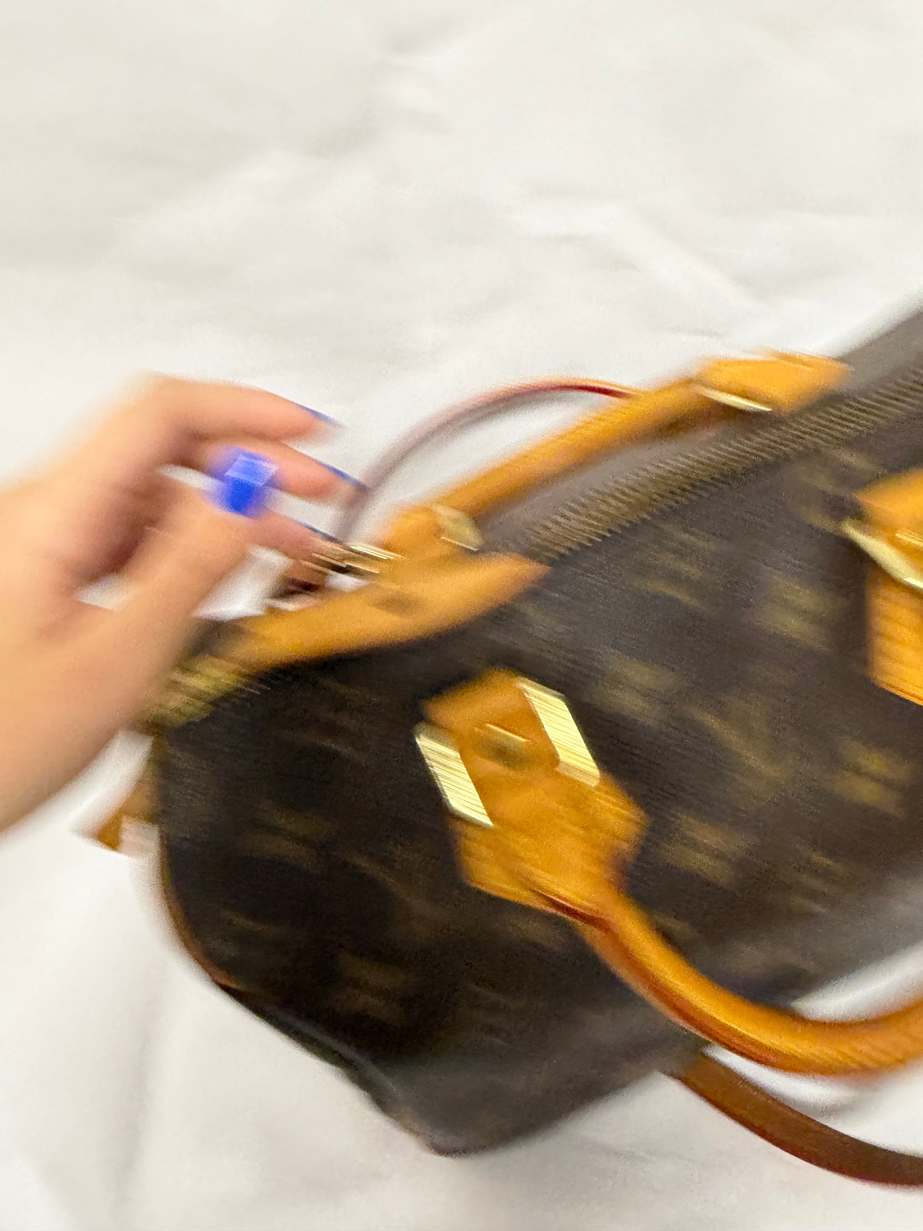 Louis Vuitton Speedy 25 Monogram SP0969