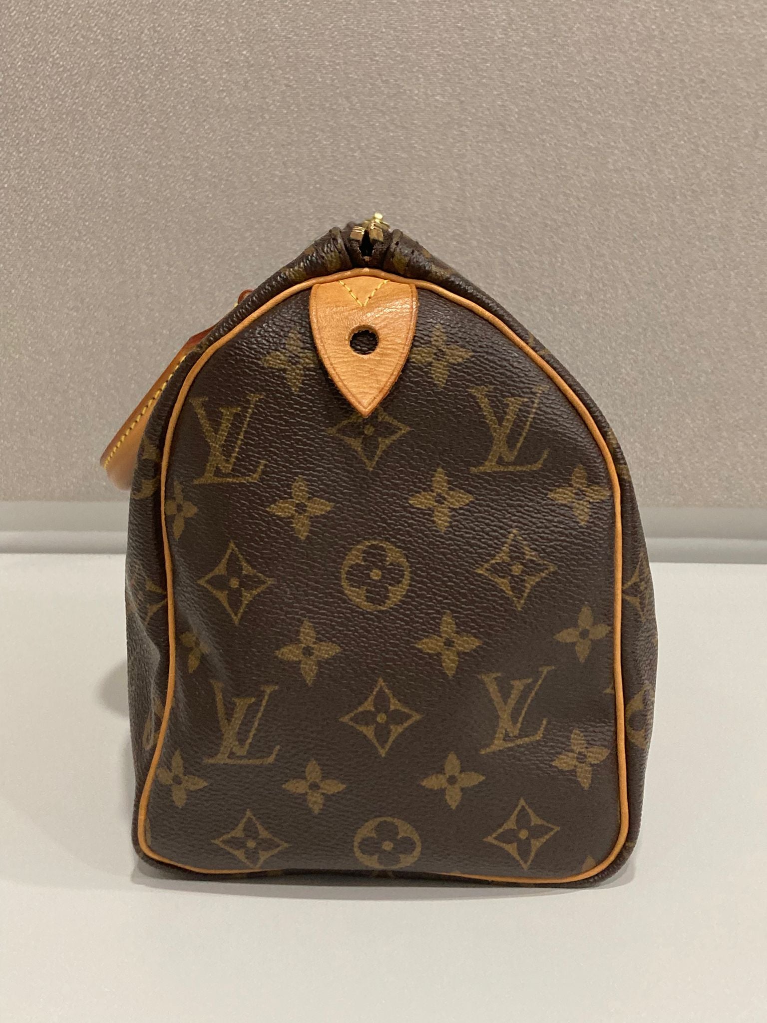 Louis Vuitton speedy 25 canvas monogram