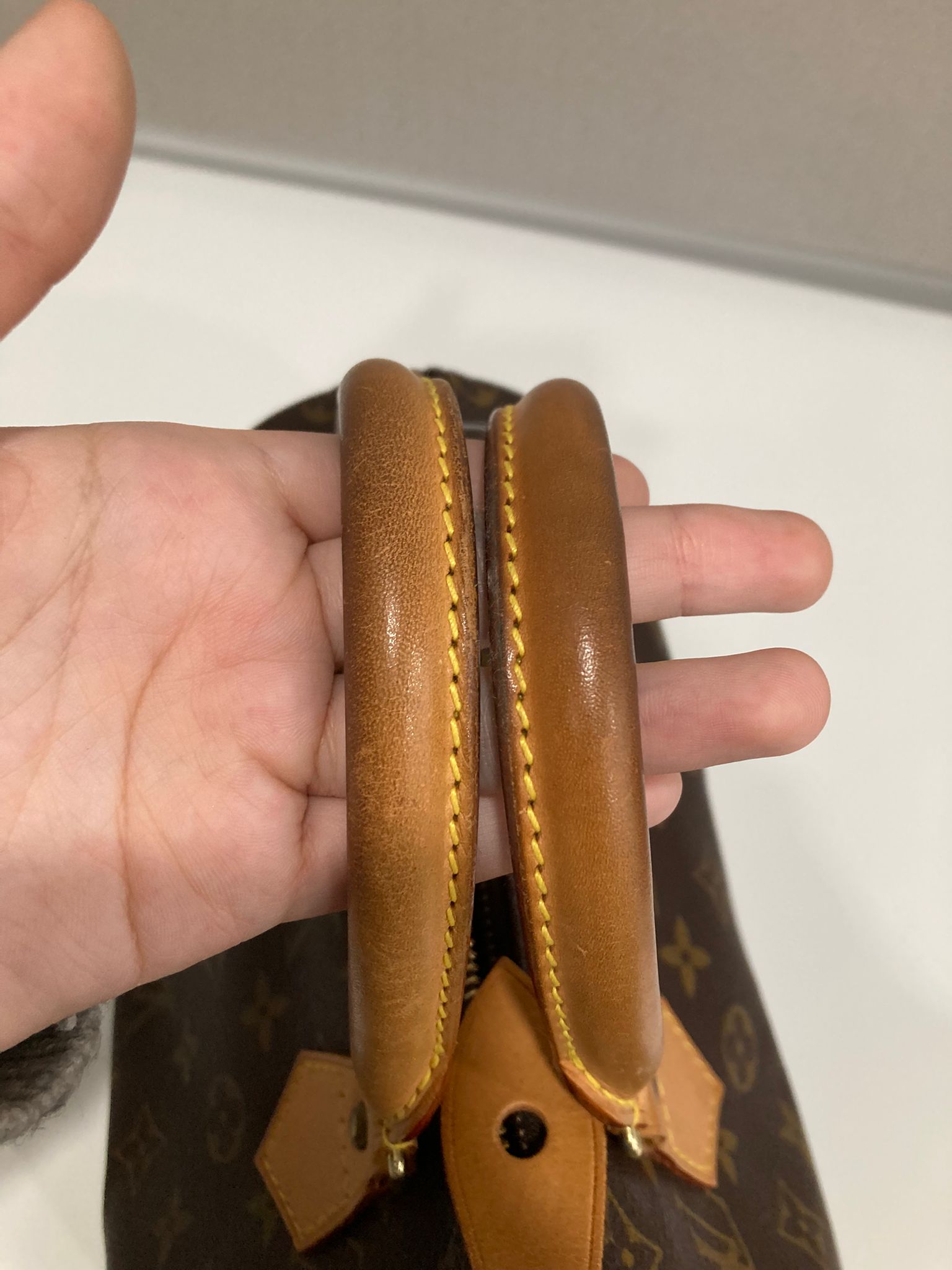Louis Vuitton speedy 25 canvas monogram