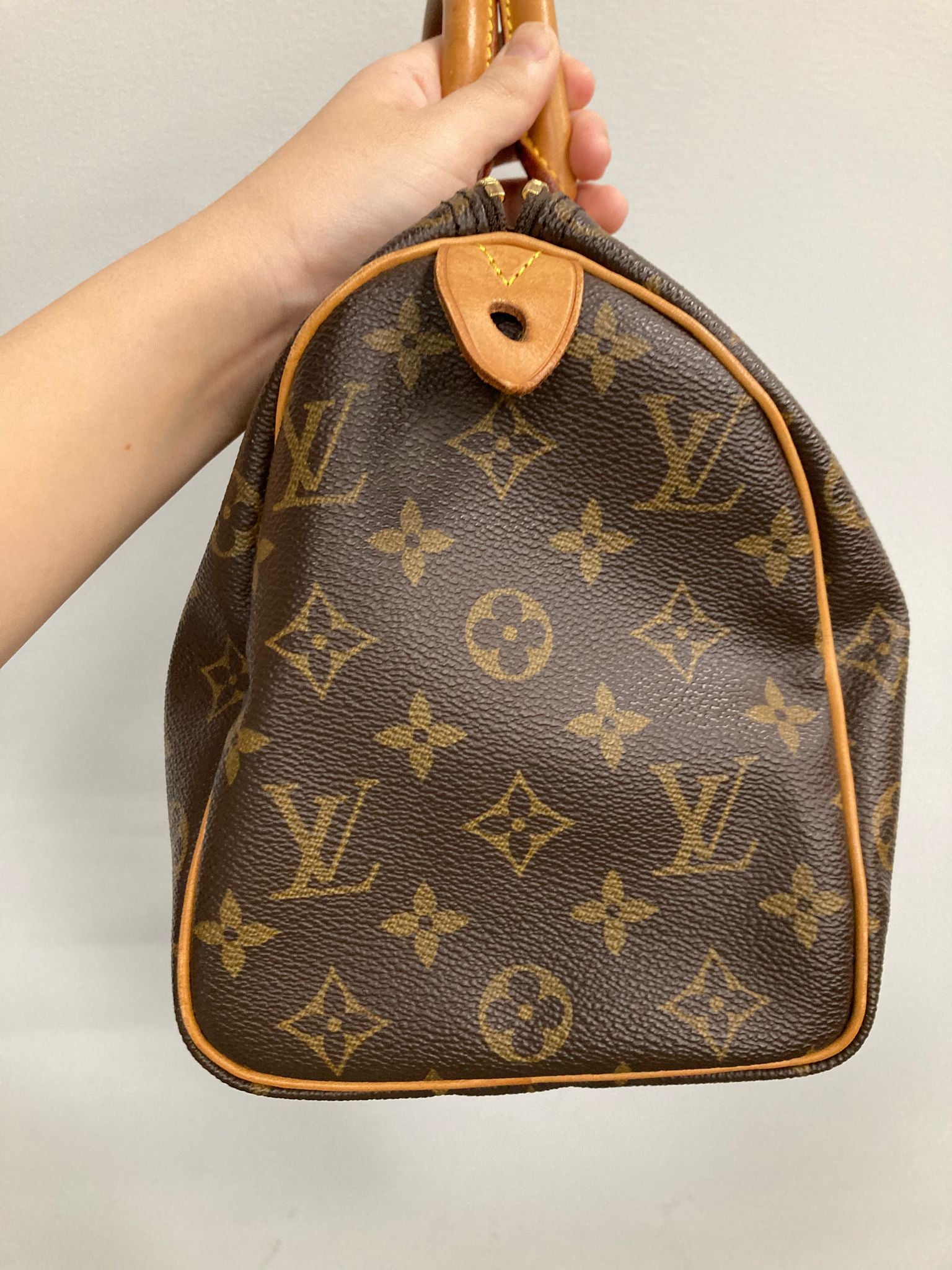 Louis Vuitton speedy 25 canvas monogram