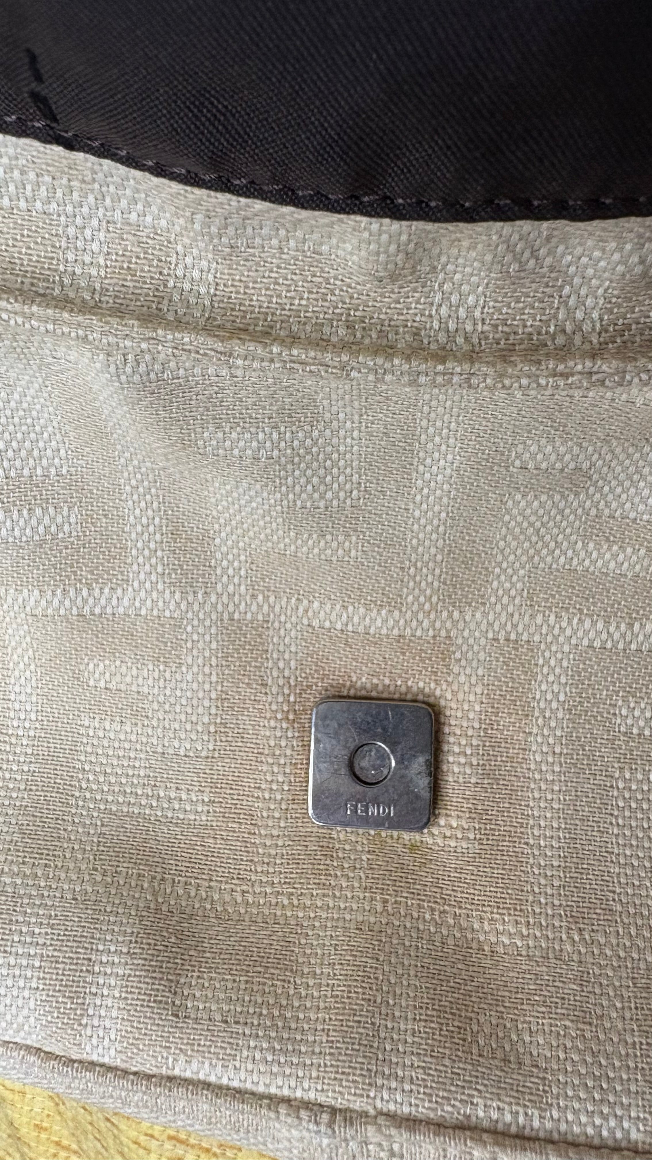 Fendi baguette zucca Arena