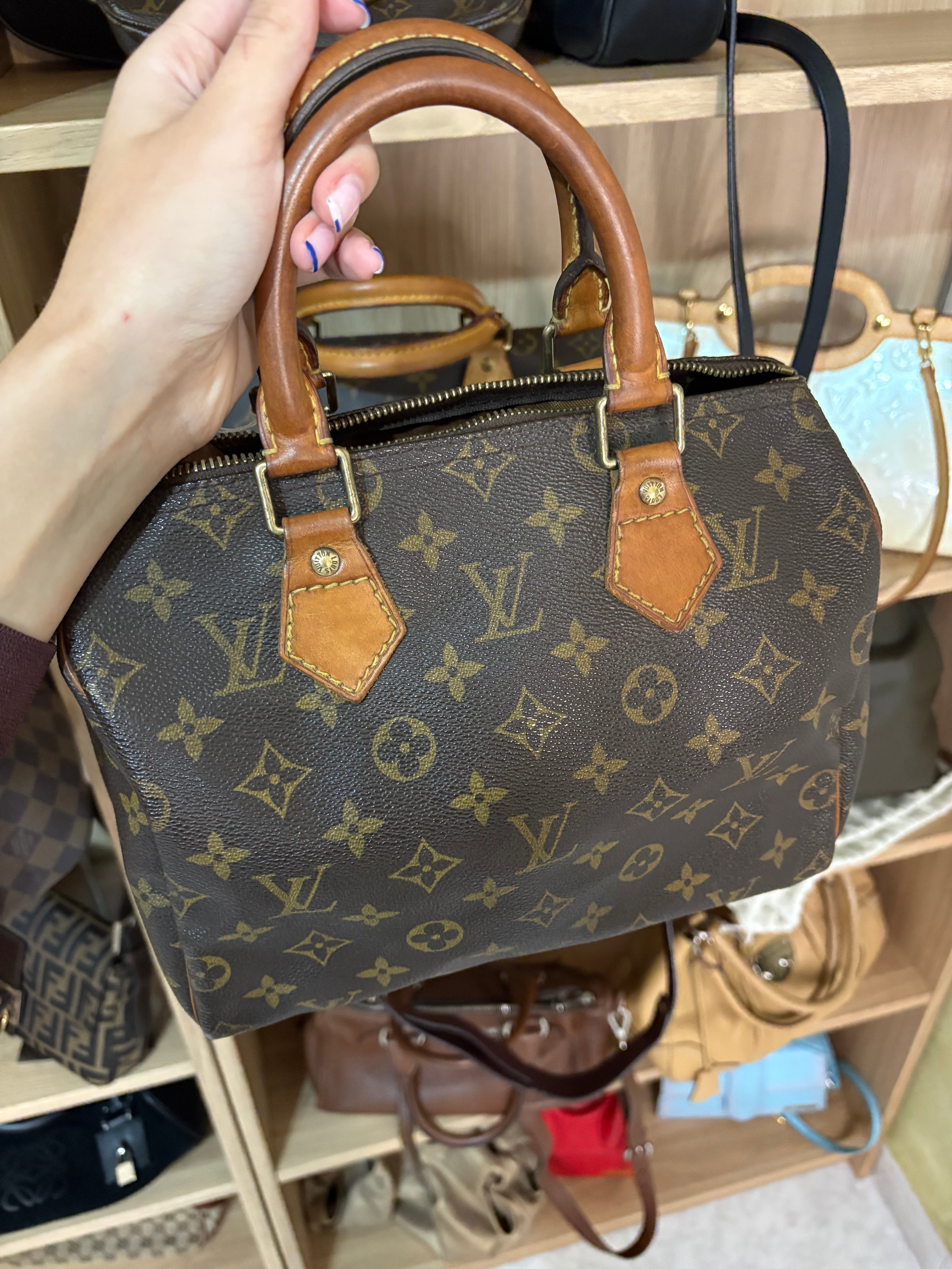 Louis Vuitton speedy 25 canvas monogram