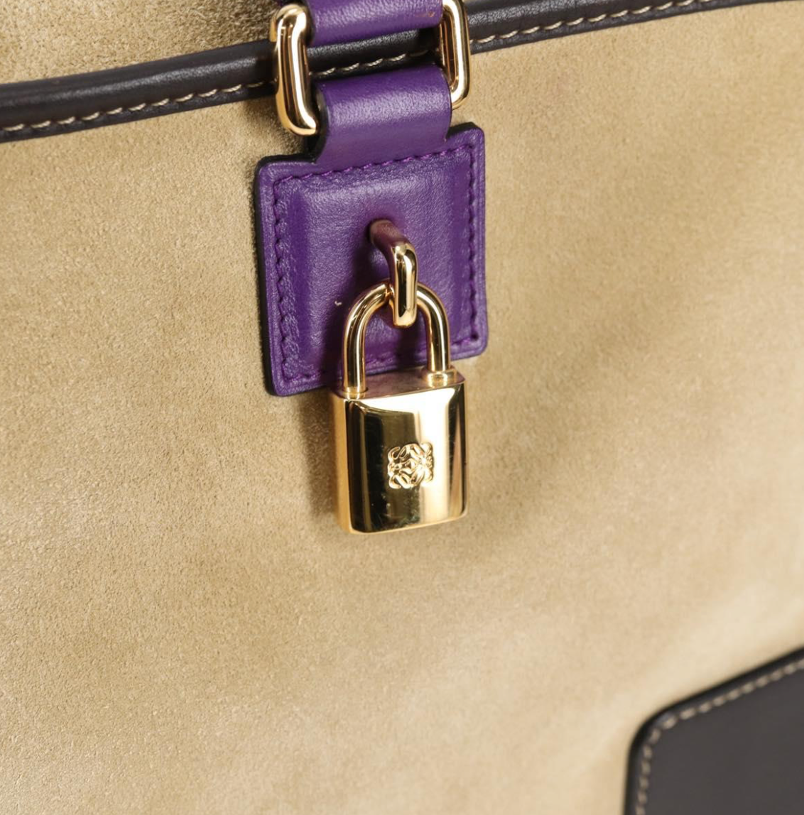 Loewe Amazona edición especial en ante tricolor marrón y morado