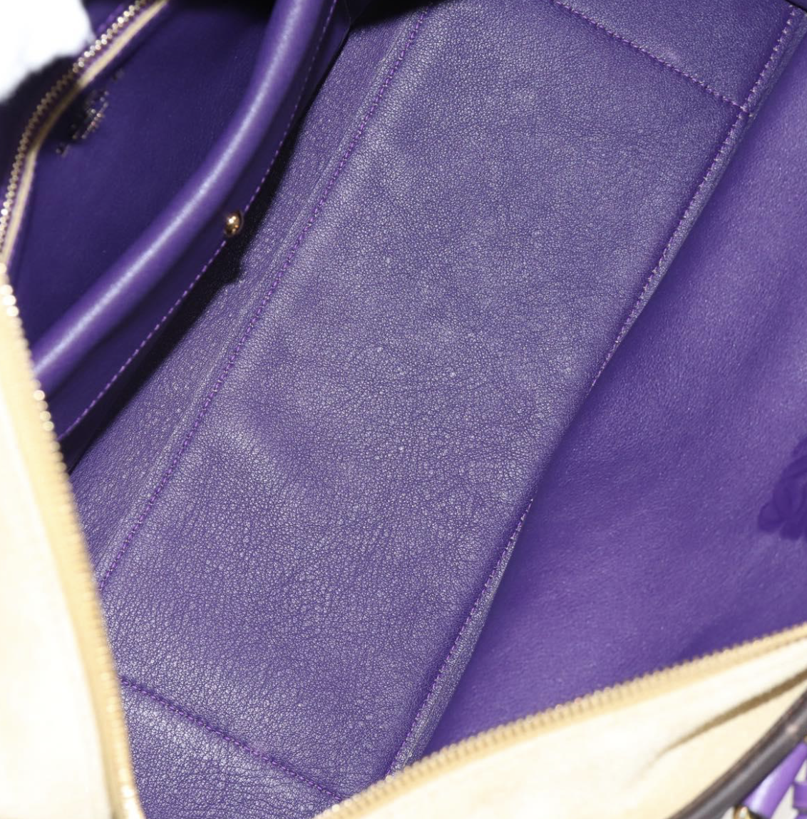 Loewe Amazona edición especial en ante tricolor marrón y morado