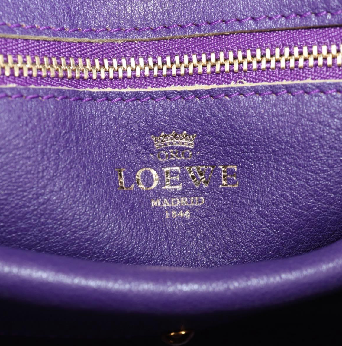 Loewe Amazona edición especial en ante tricolor marrón y morado