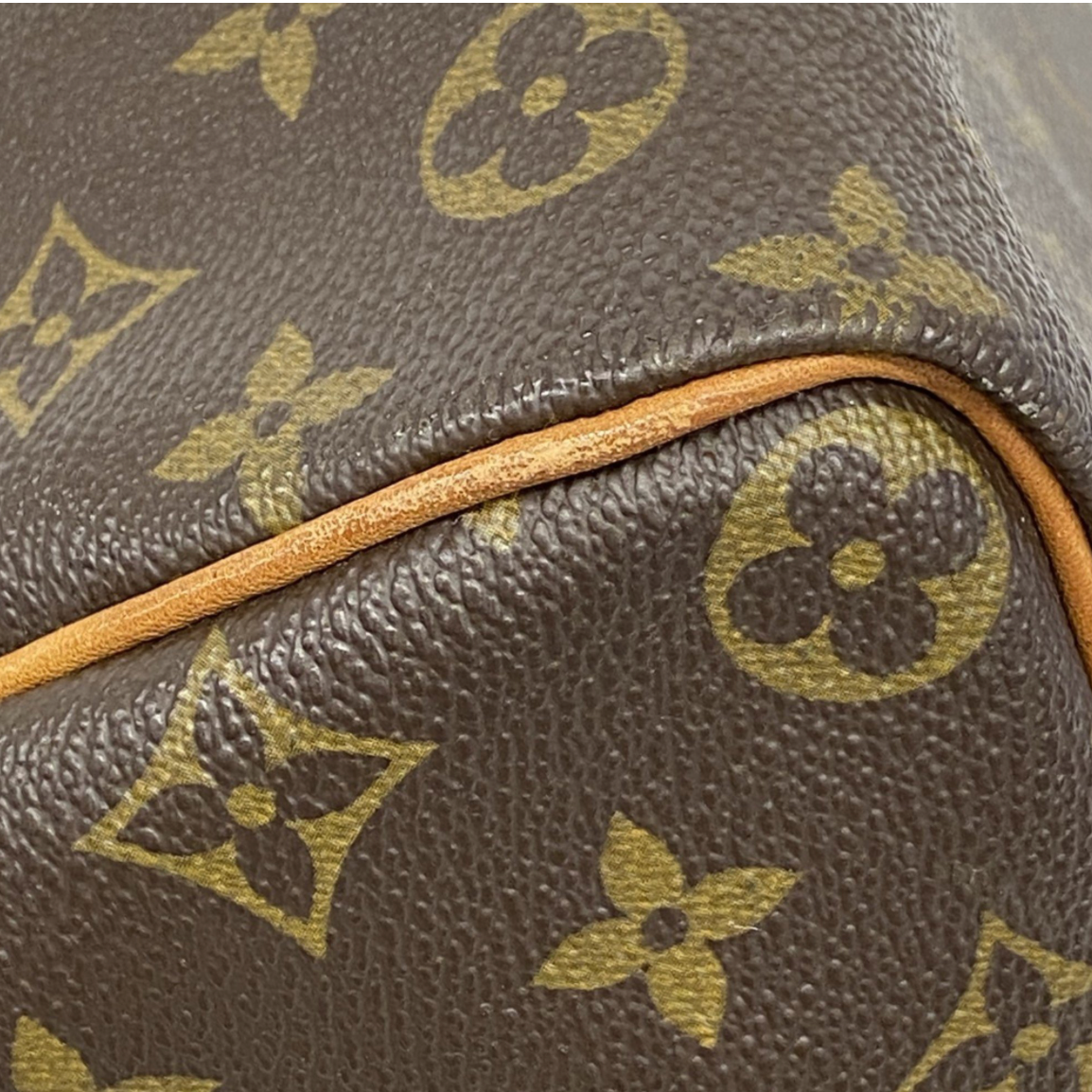 Louis Vuitton Speedy 35