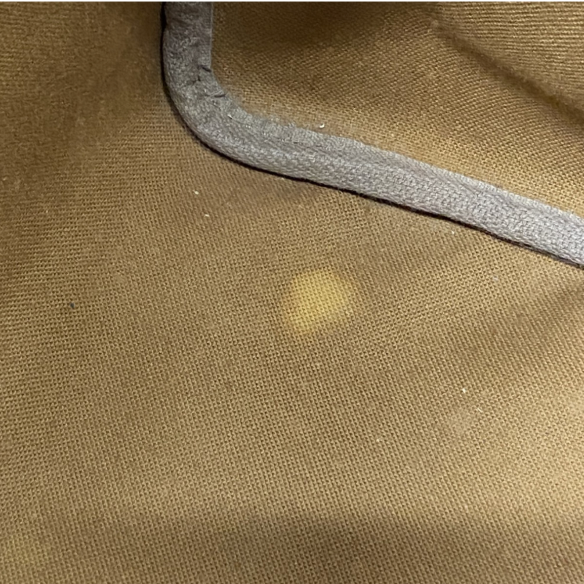 Louis Vuitton Speedy 35