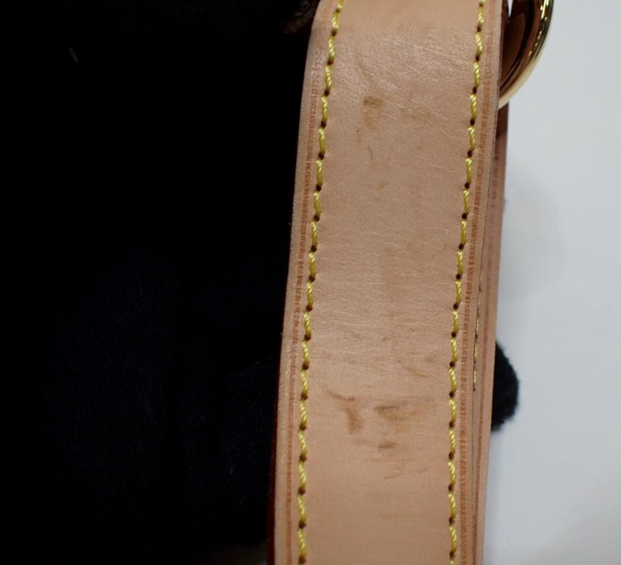 Louis Vuitton Greta Murakami Monogram Multicolor