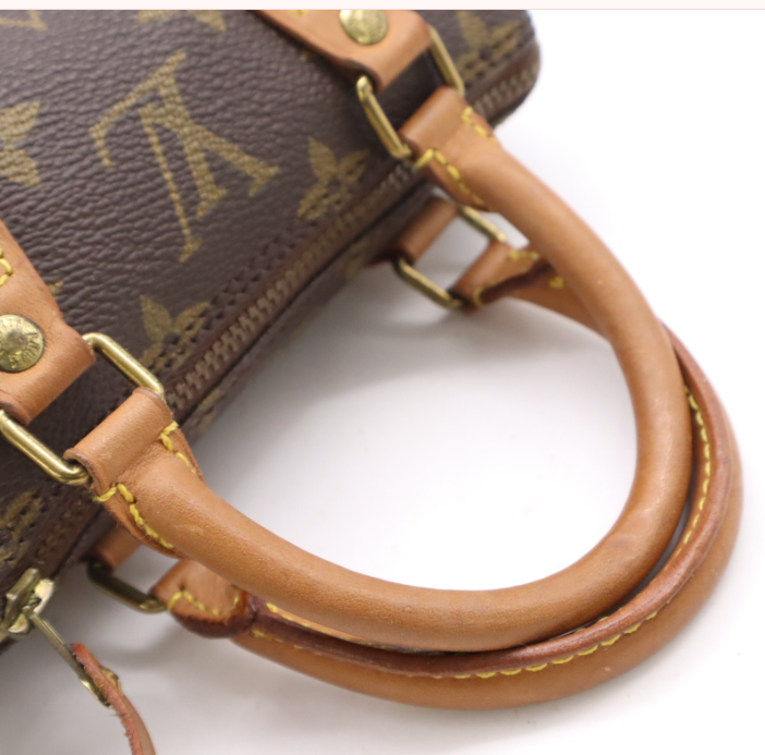 Louis Vuitton Mini Speedy Monogram