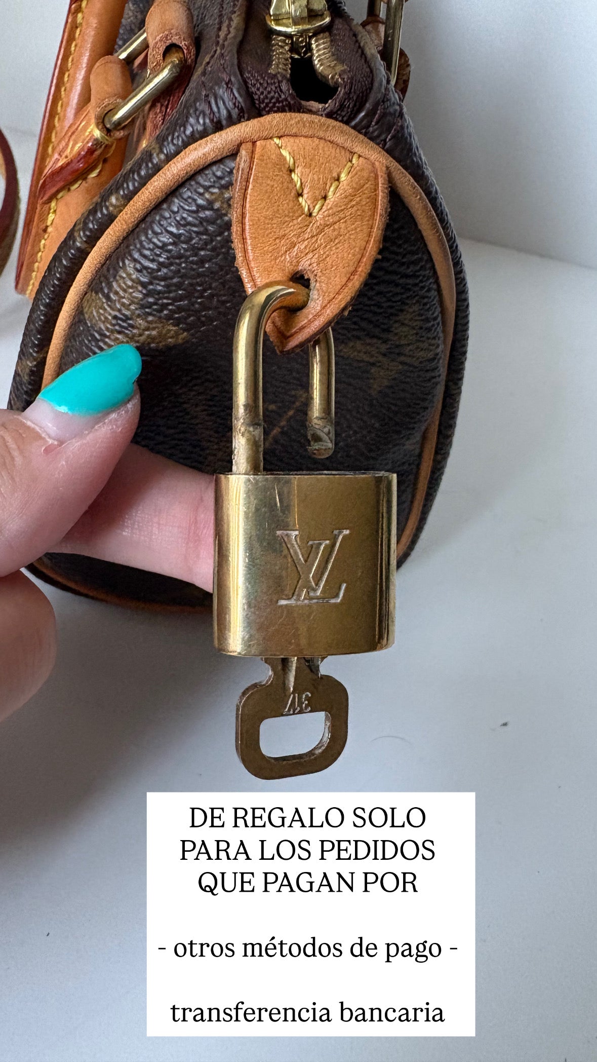 Louis Vuitton Nano Speedy Canvas monogram con correa