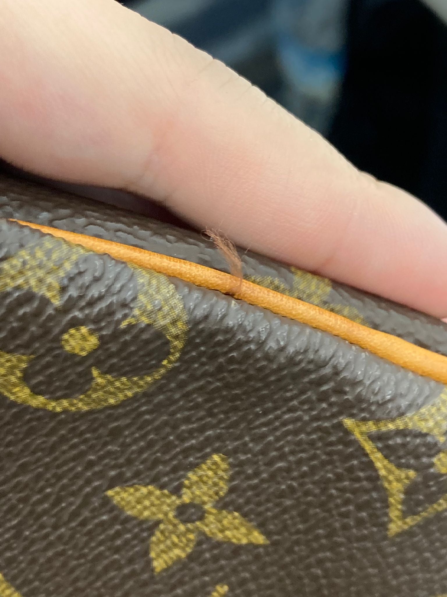 Louis Vuitton Speedy 25 Monogram