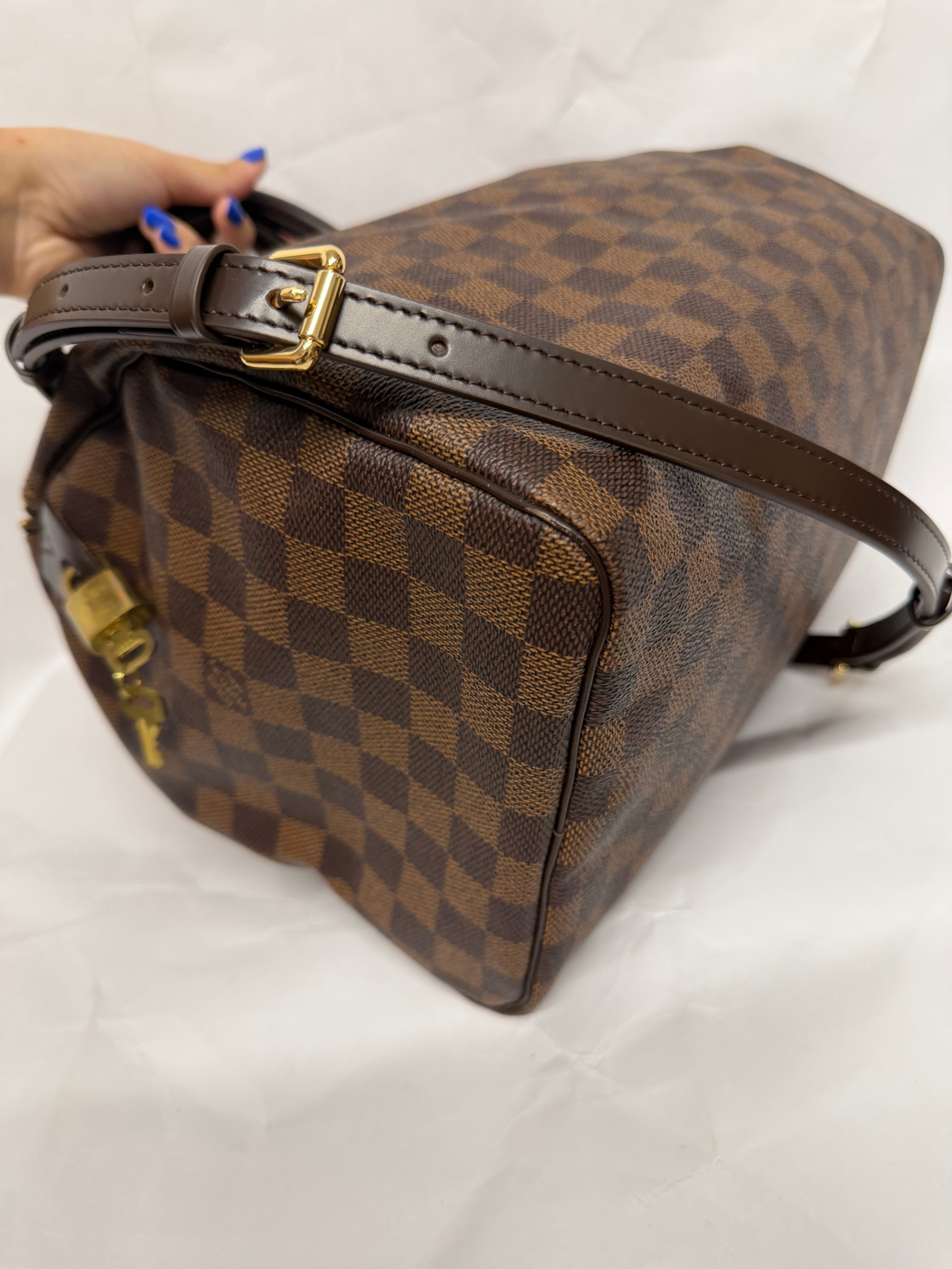 Louis Vuitton Speedy 30 Damier Ebene