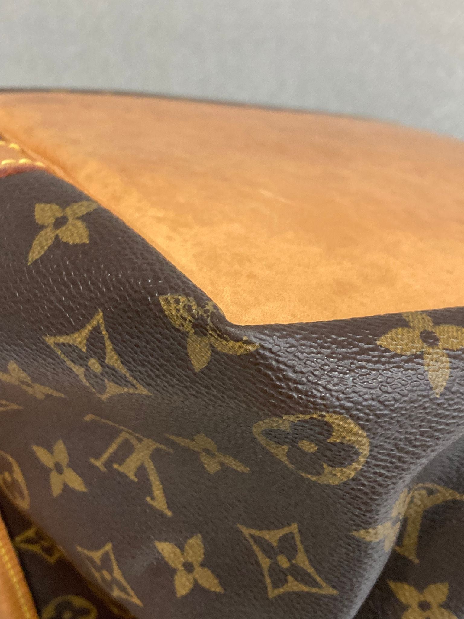 Louis Vuitton Petit Noé canvas monogram