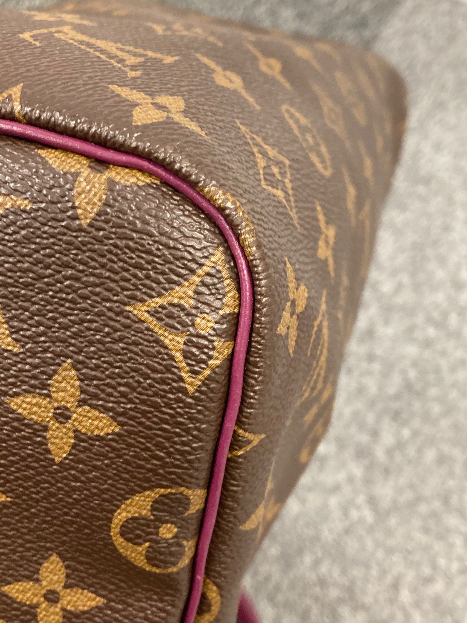 Louis Vuitton Speedy 30 Totem Monogram