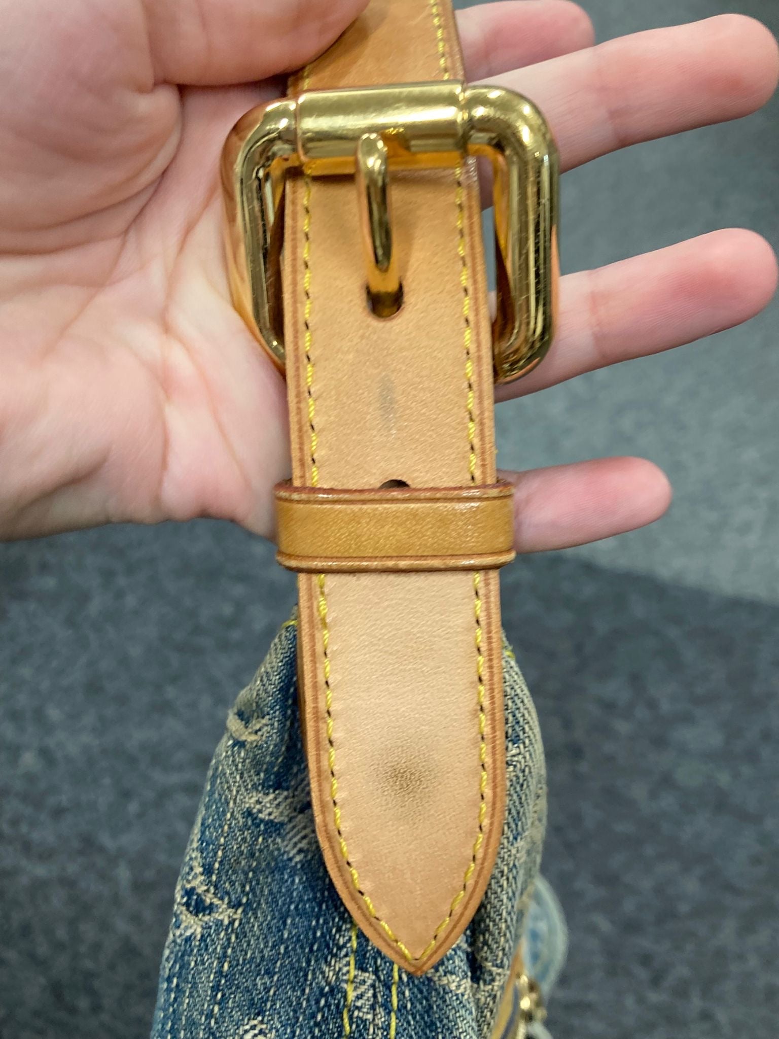 Louis Vuitton Baggy PM Monogram Denim