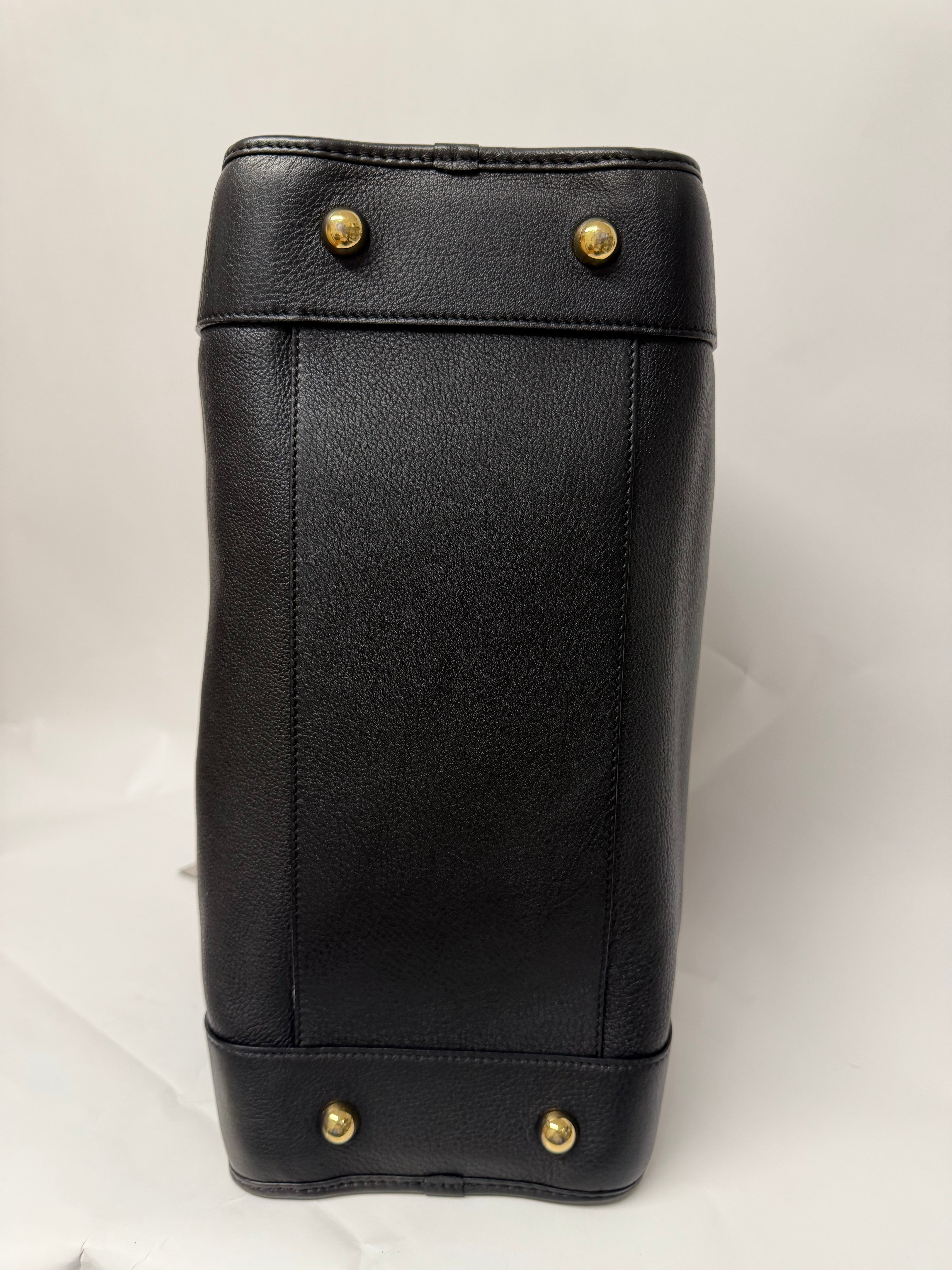 Loewe Amazona 36 | Piel Negra Herrajes dorados