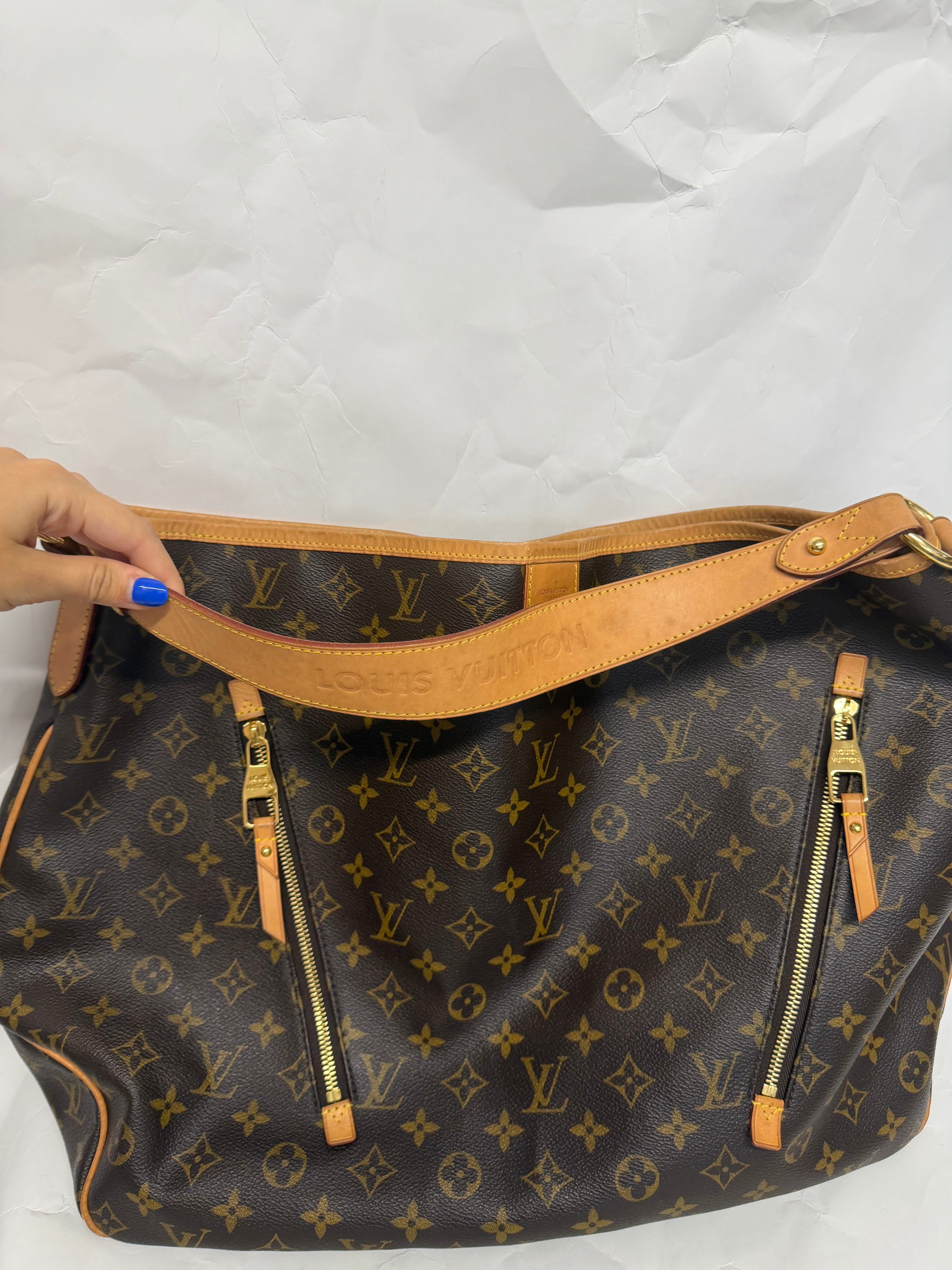Louis Vuitton Delightful GM | Monogram