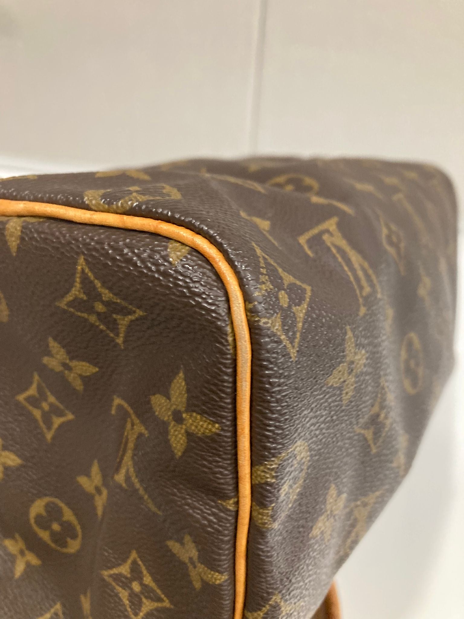 Louis Vuitton Speedy 25 Monogram con bandolera extra