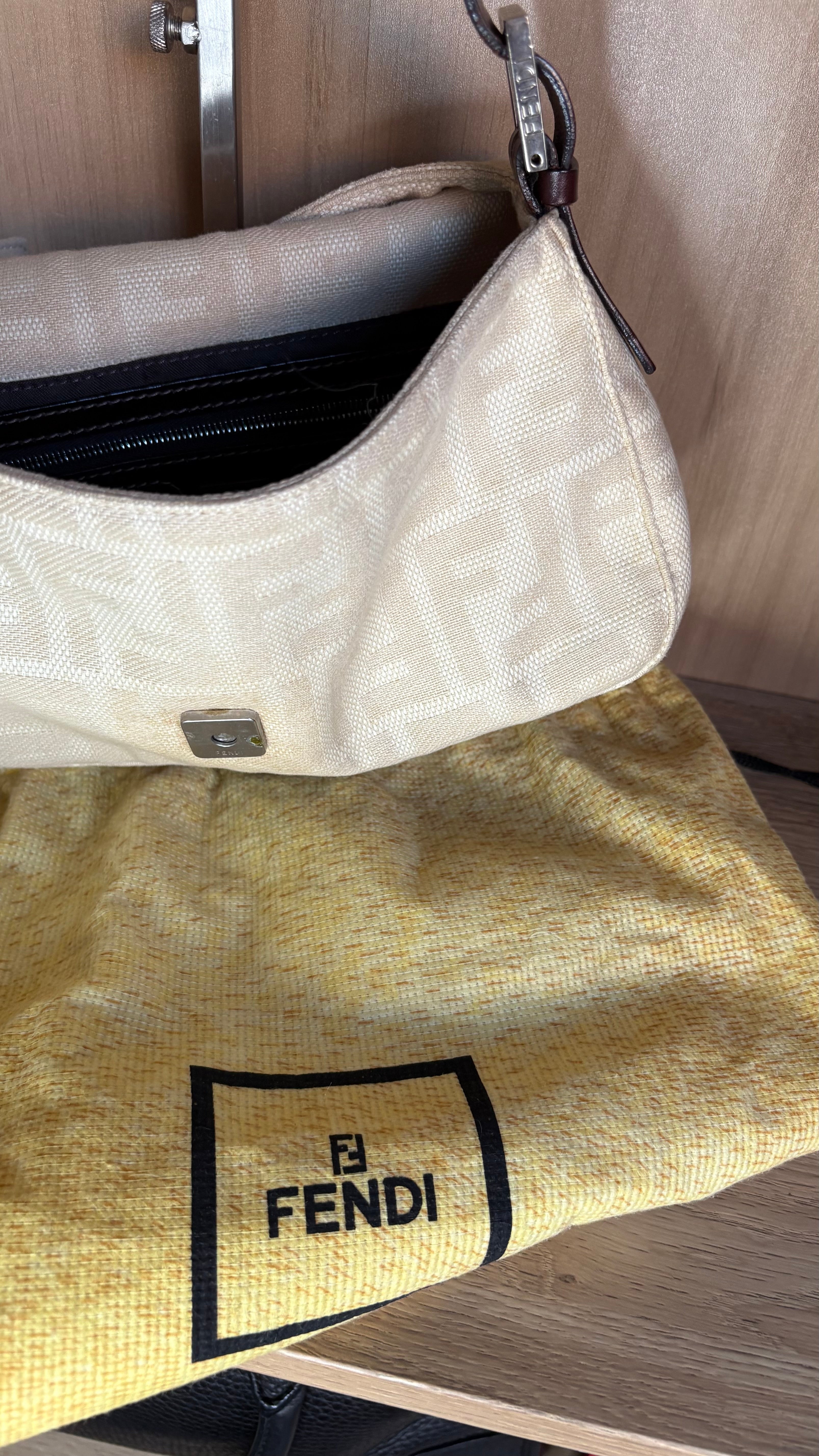 Fendi baguette zucca Arena