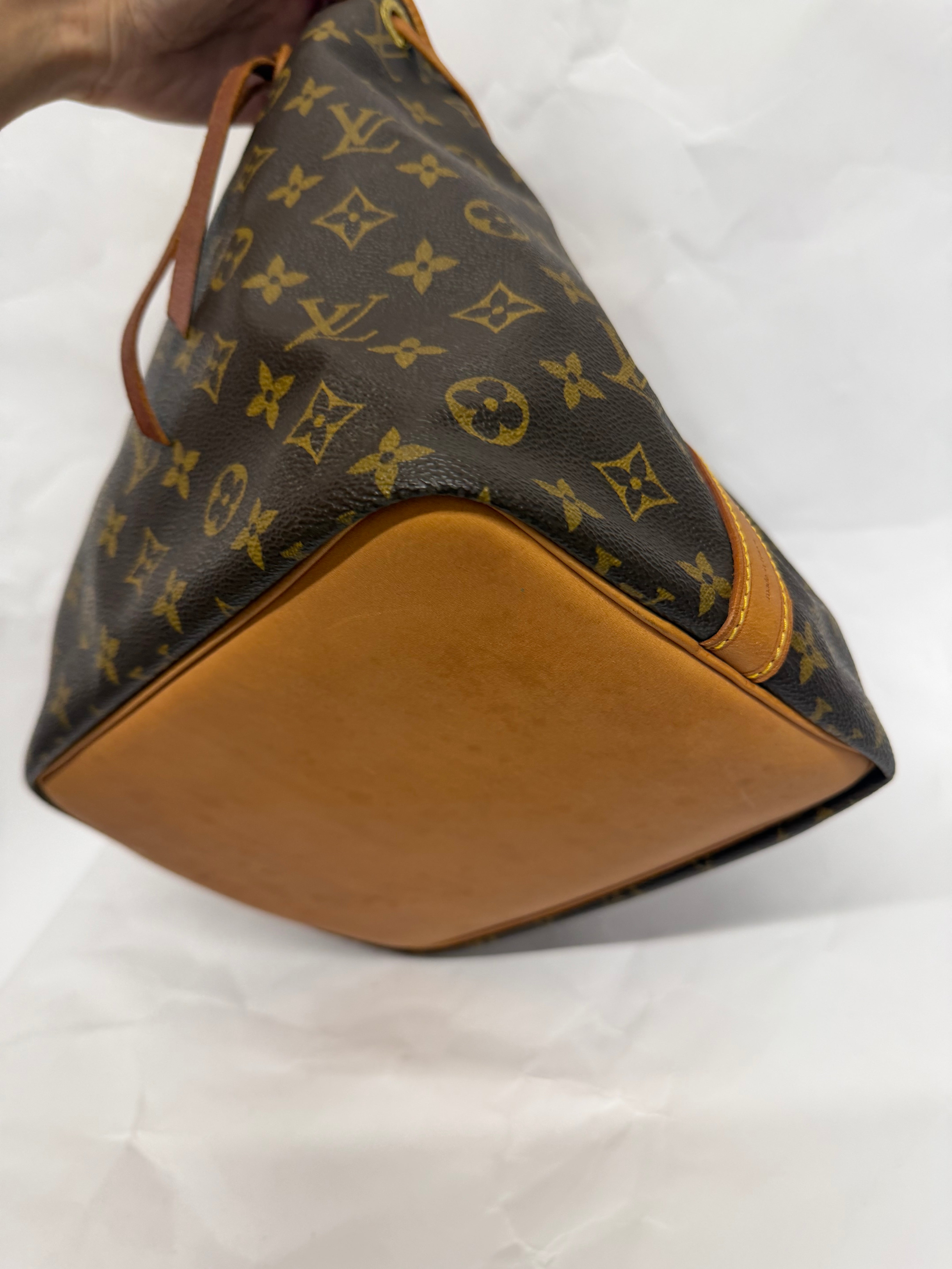 Louis Vuitton Petit Noé monogram