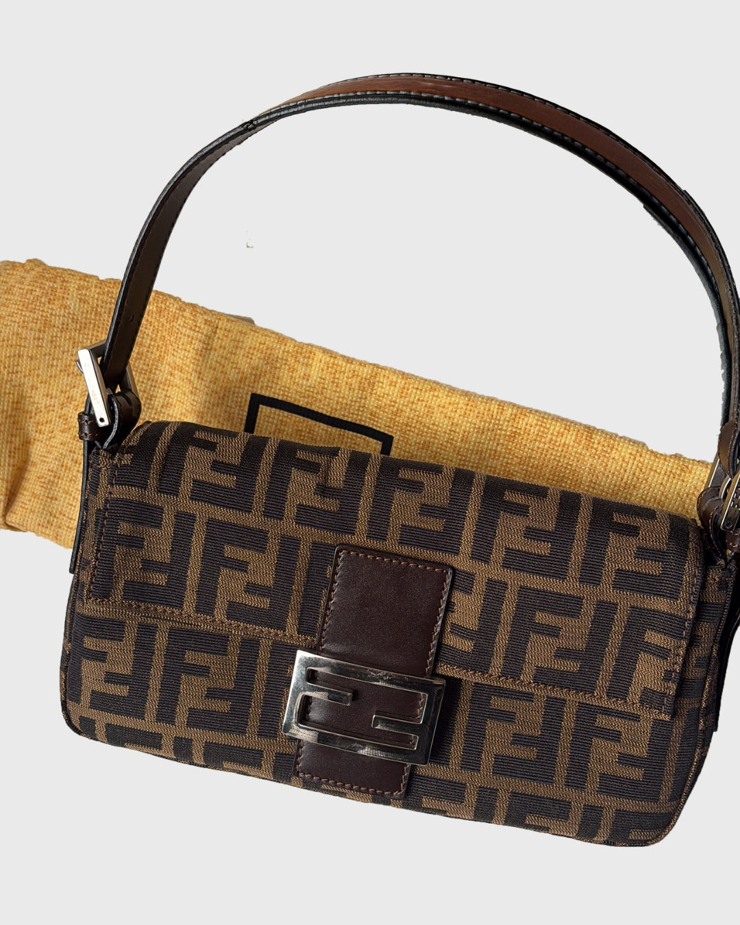 Fendi Zucca Bag