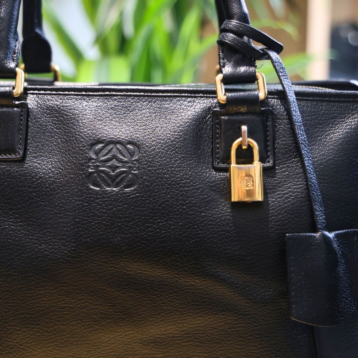 Loewe Amazona 35 Negro
