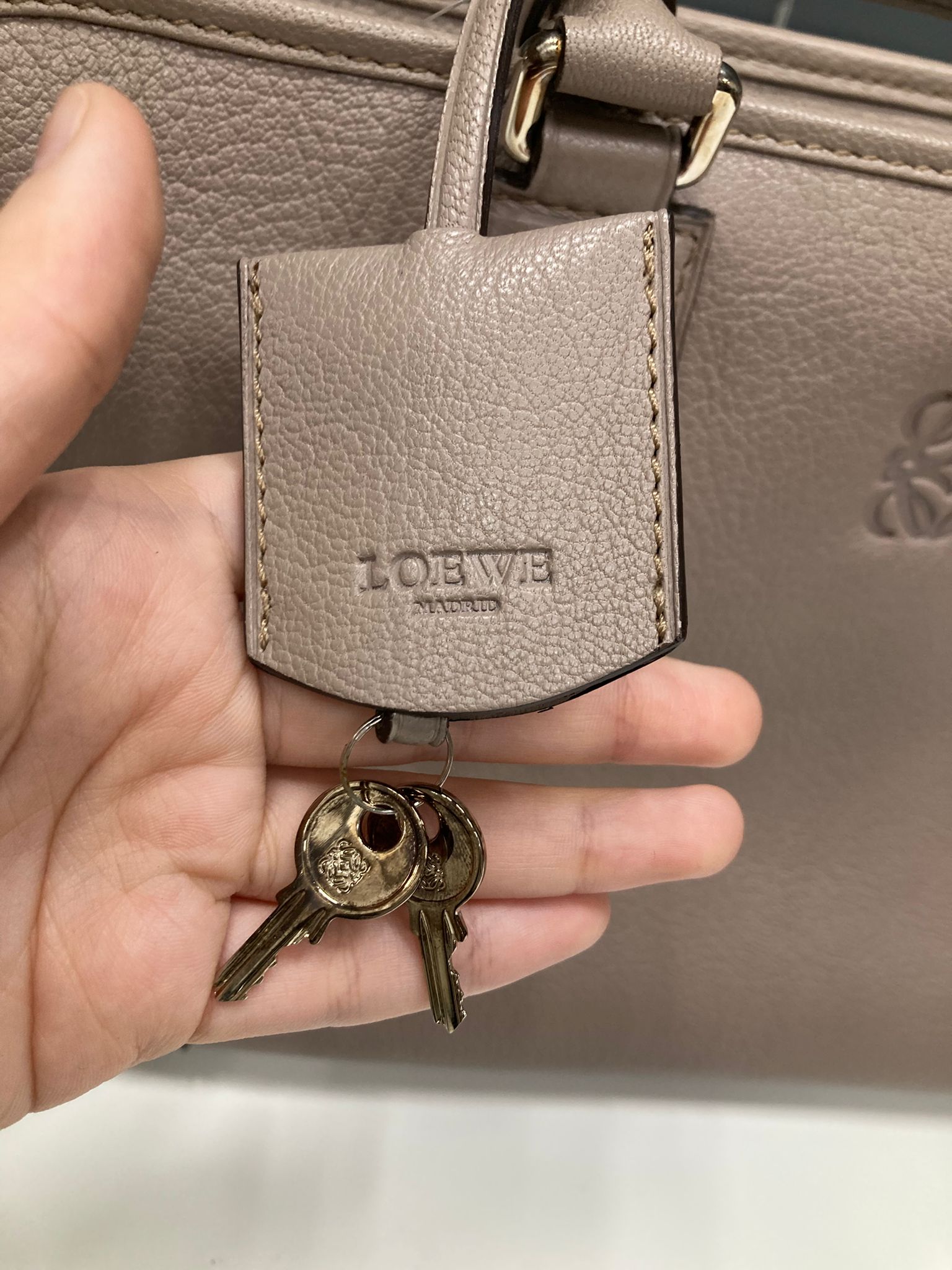 Loewe Amazona 36 Gris beige