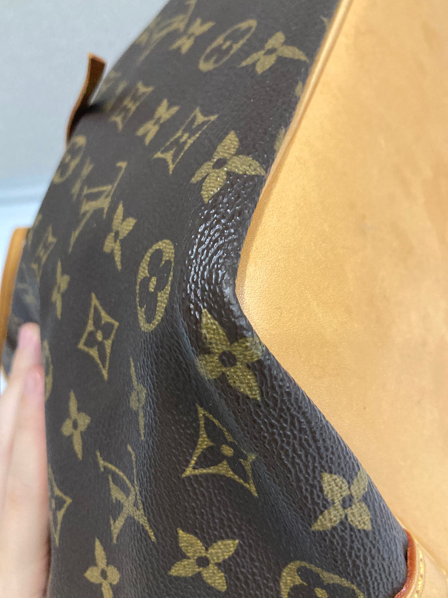Louis Vuitton Noé Petit Monogram