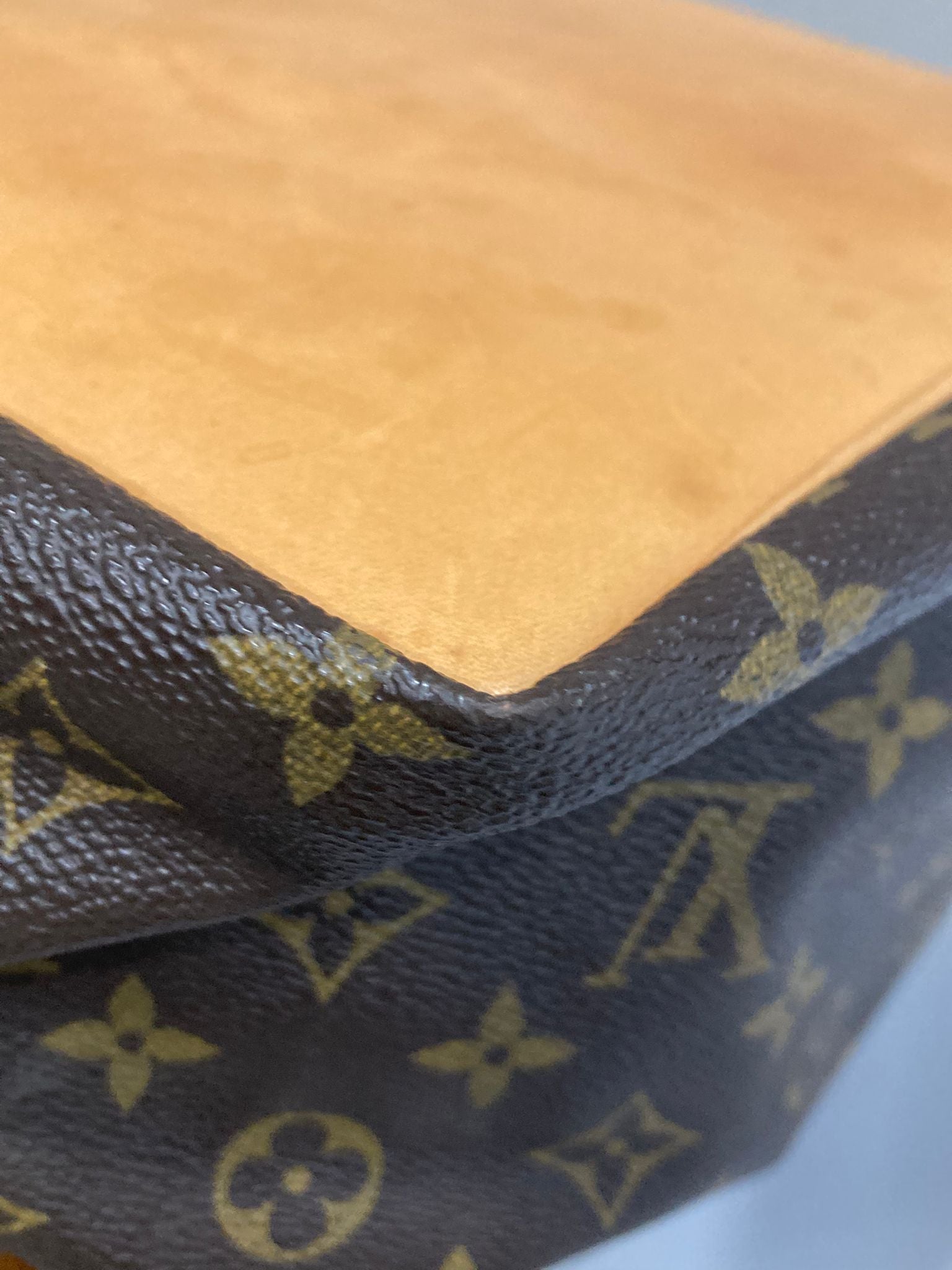 Louis Vuitton Noé Petit Monogram