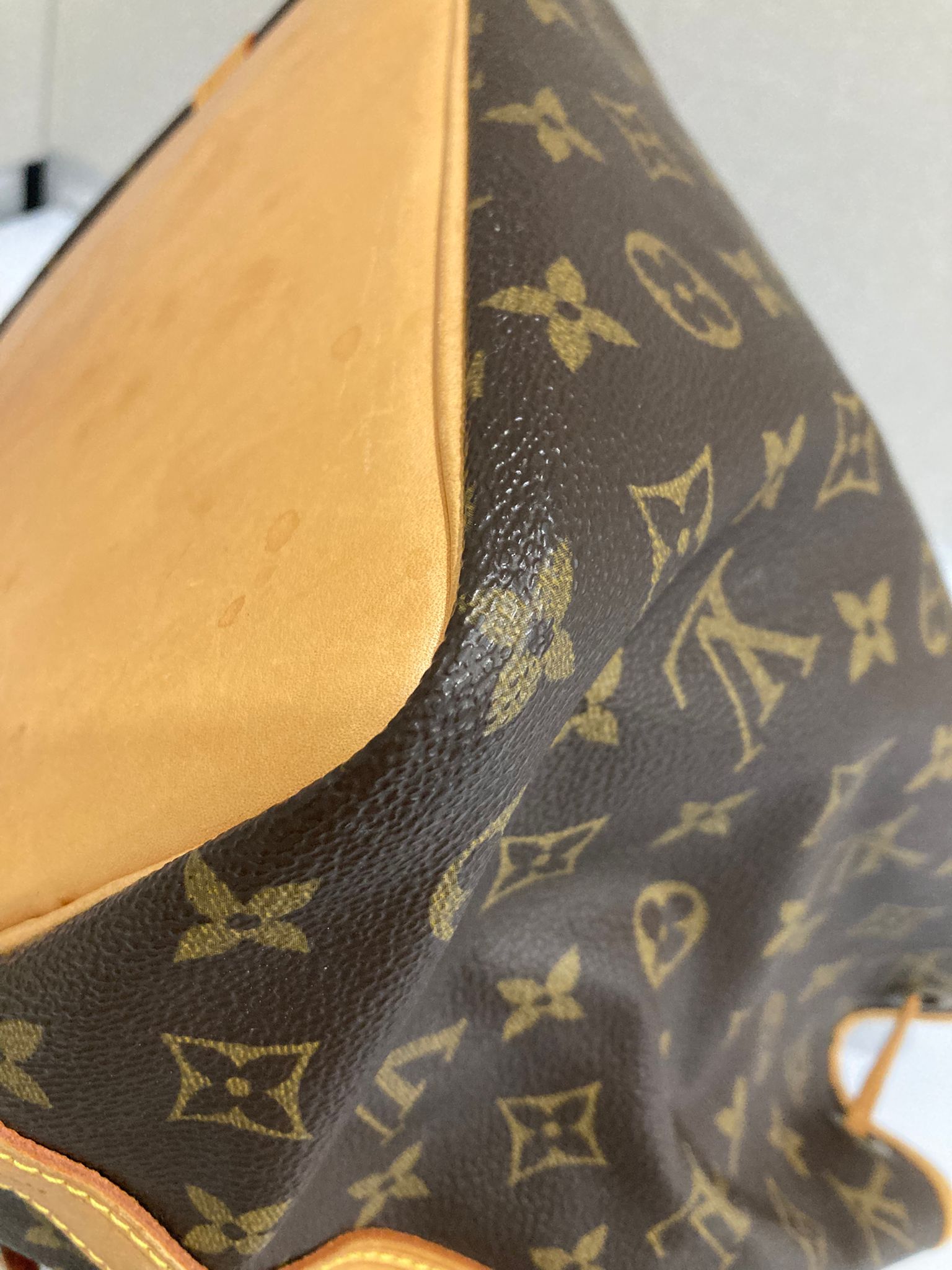 Louis Vuitton Noé Petit Monogram
