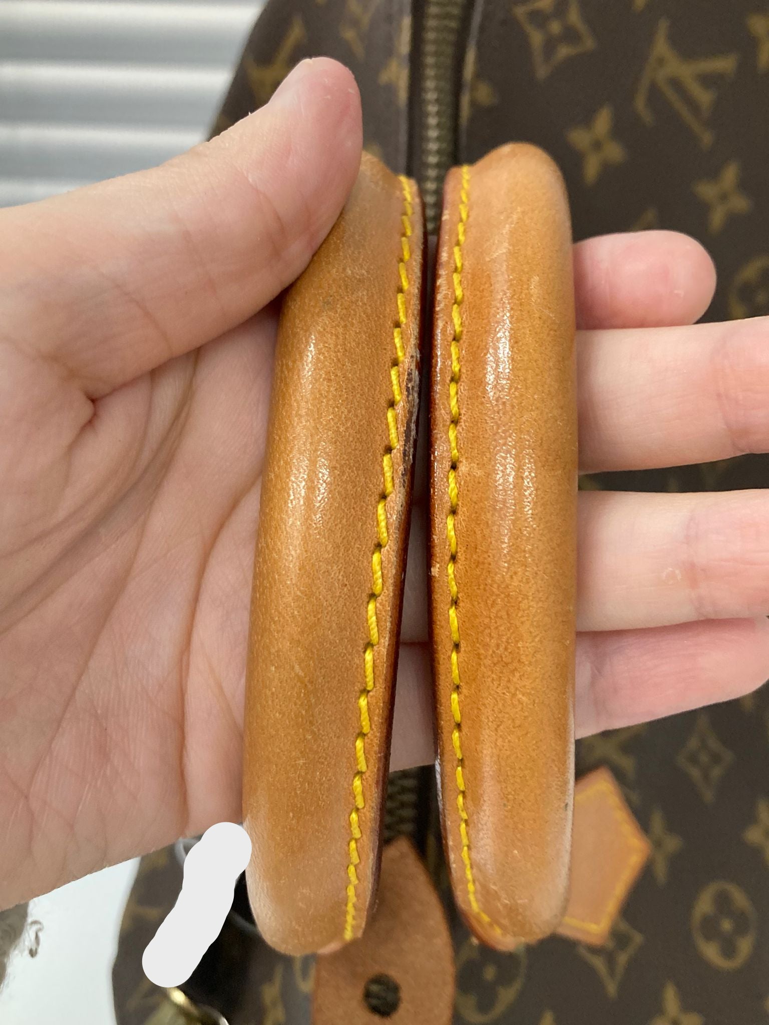 Louis Vuitton Speedy 30 Monogram