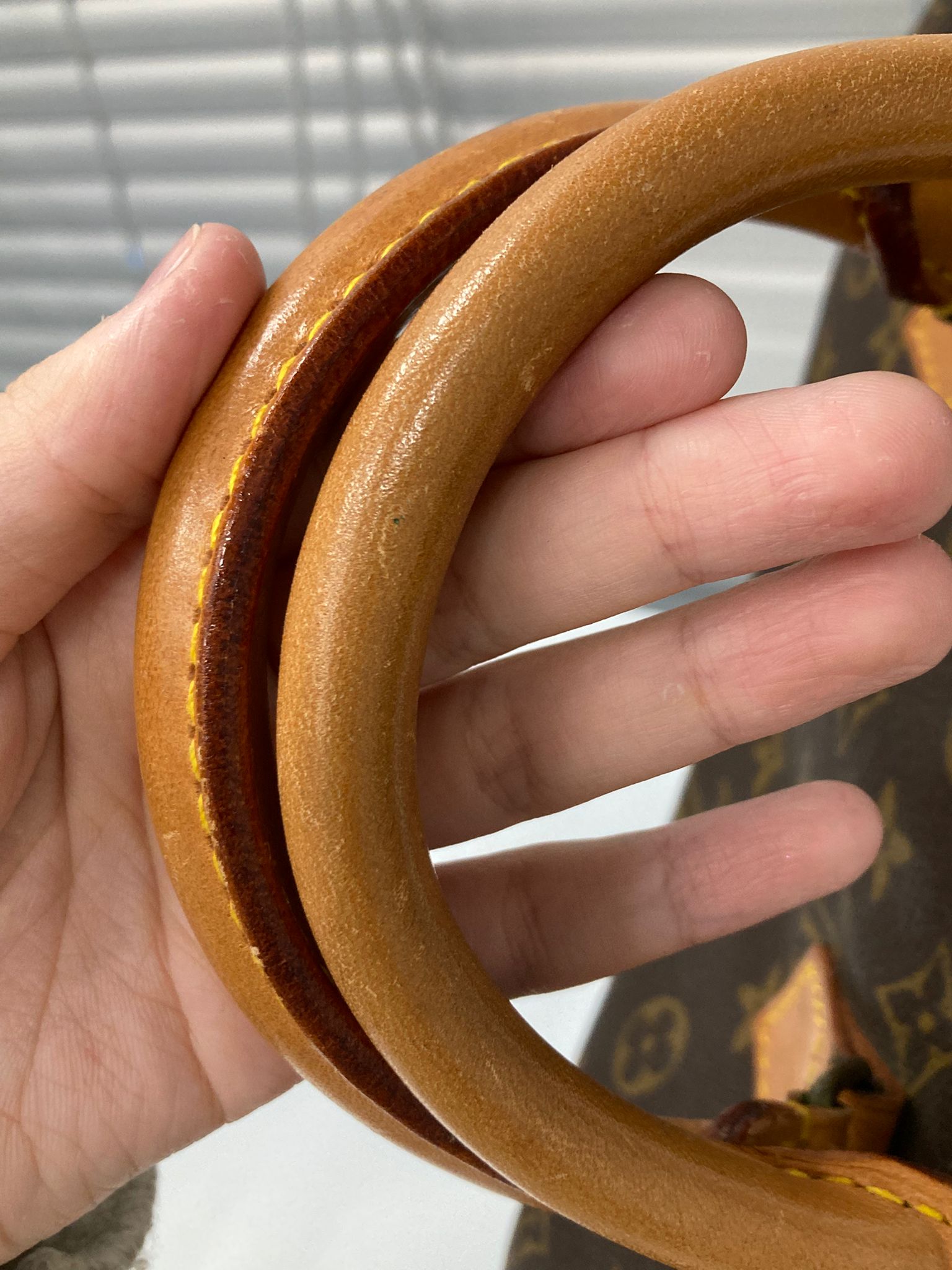 Louis Vuitton Speedy 30 Monogram