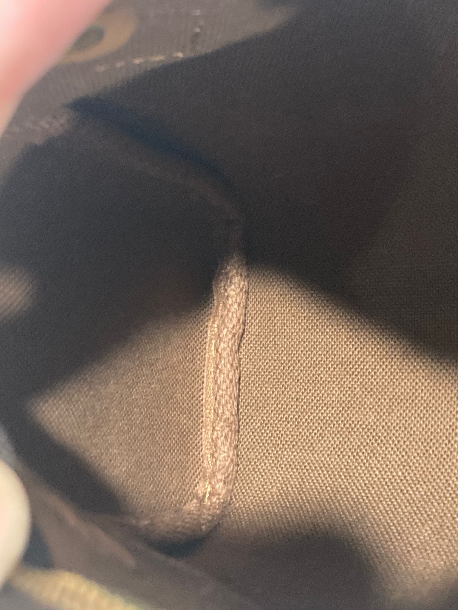 Louis Vuitton Mini Speedy con bandolera extra