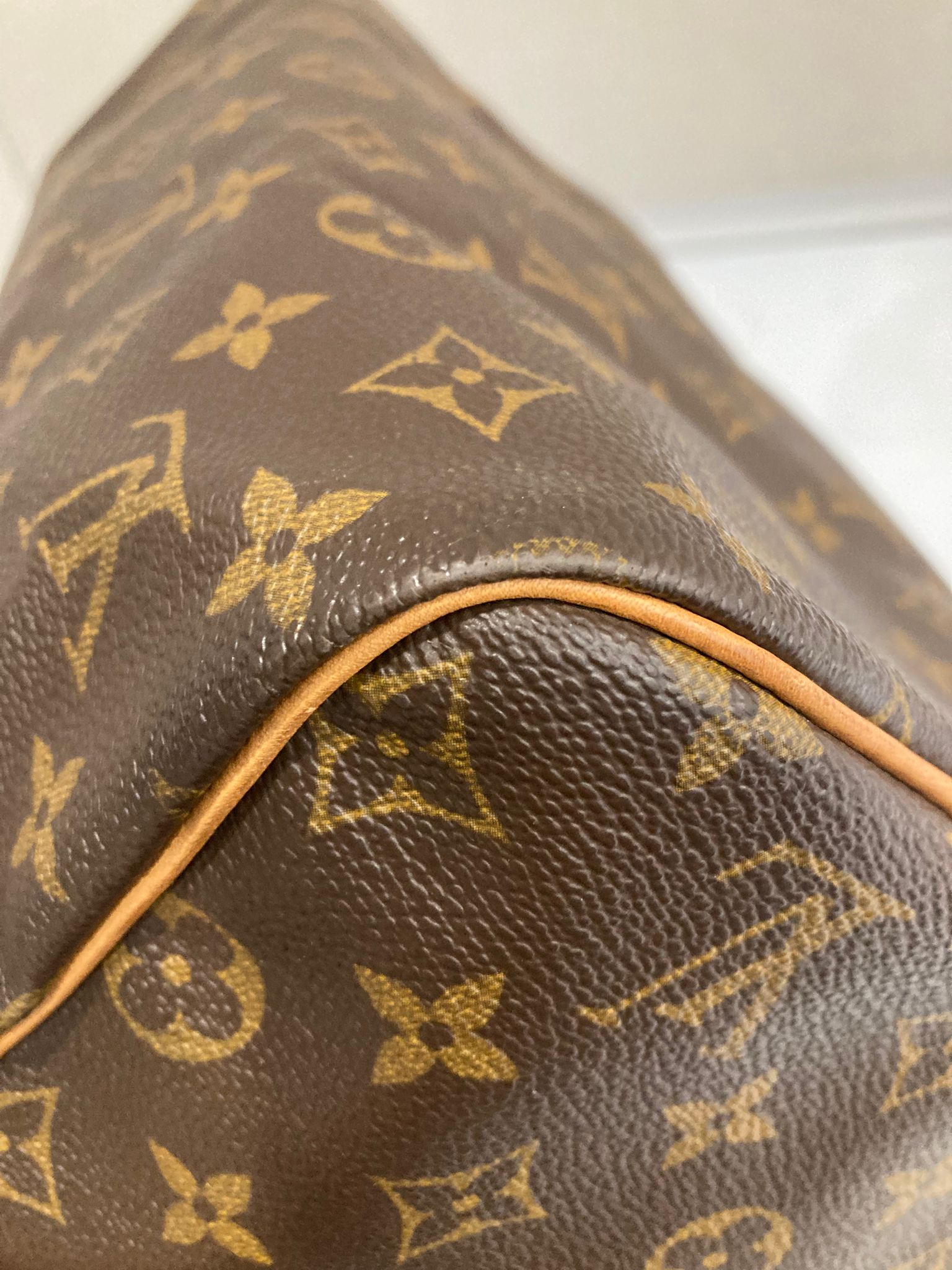 Louis Vuitton Speedy 30 Canvas monogram TH0030