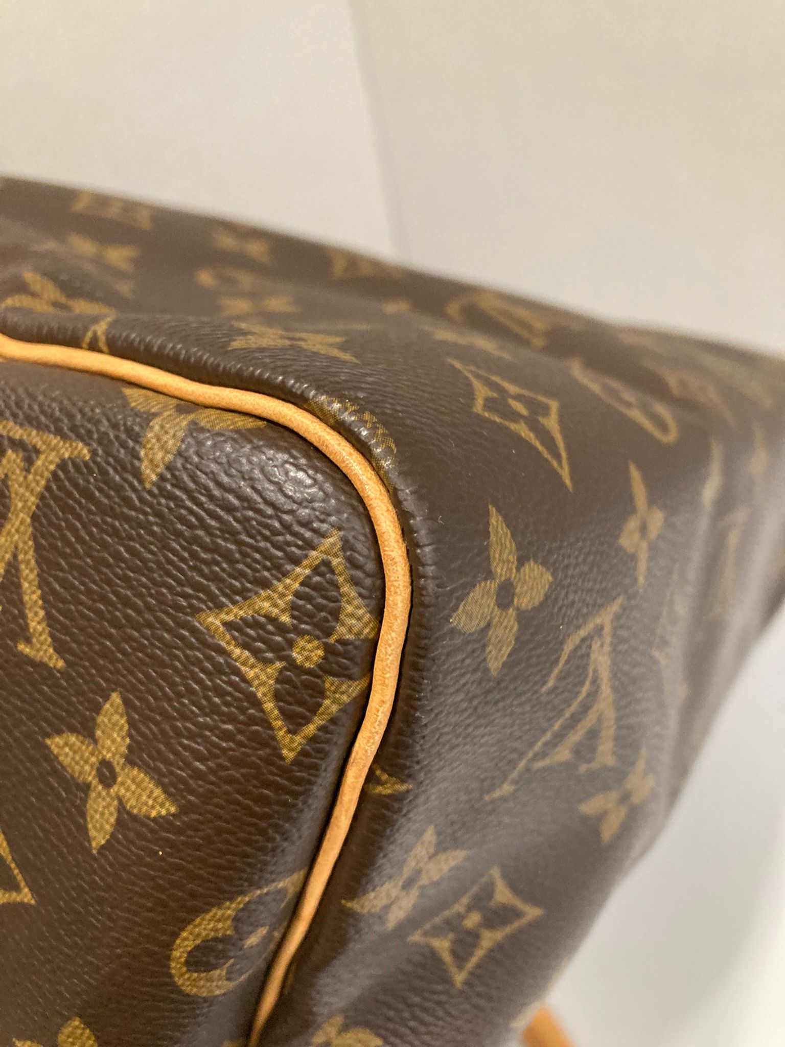 Louis Vuitton Speedy 30 Canvas Monogram AA0045