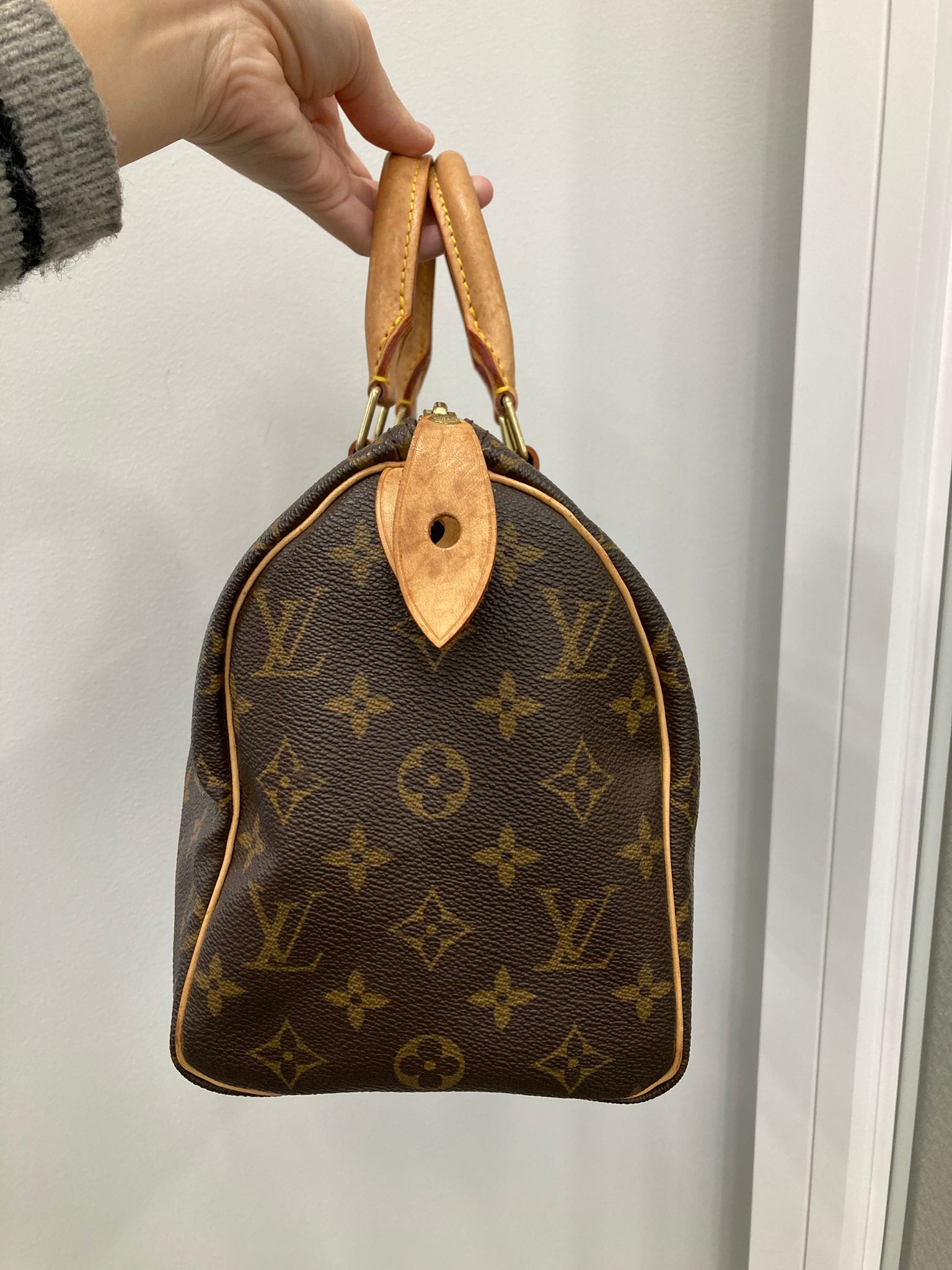 Louis Vuitton Speedy 25 Monogram