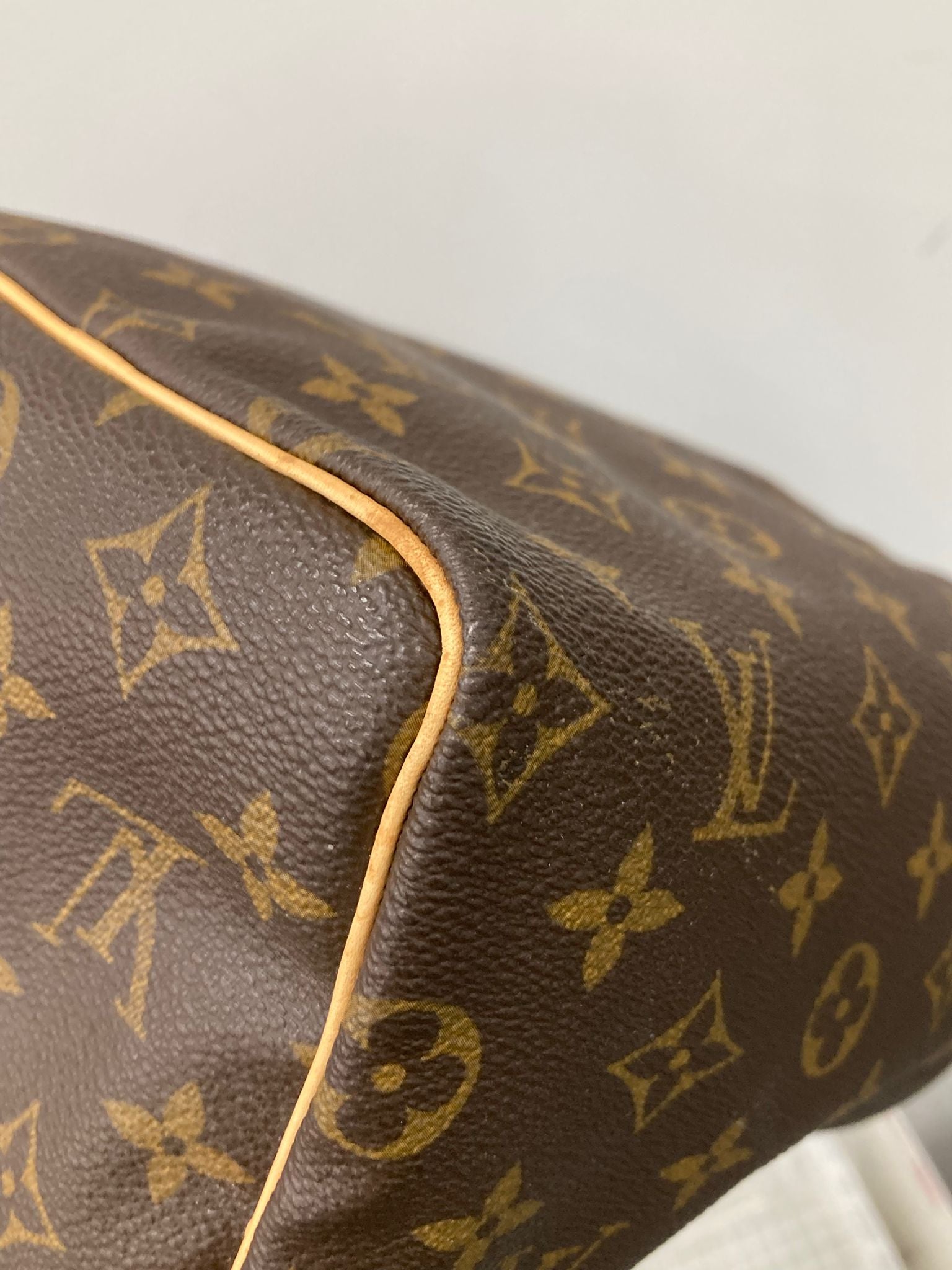 Louis Vuitton Speedy 25 Monogram