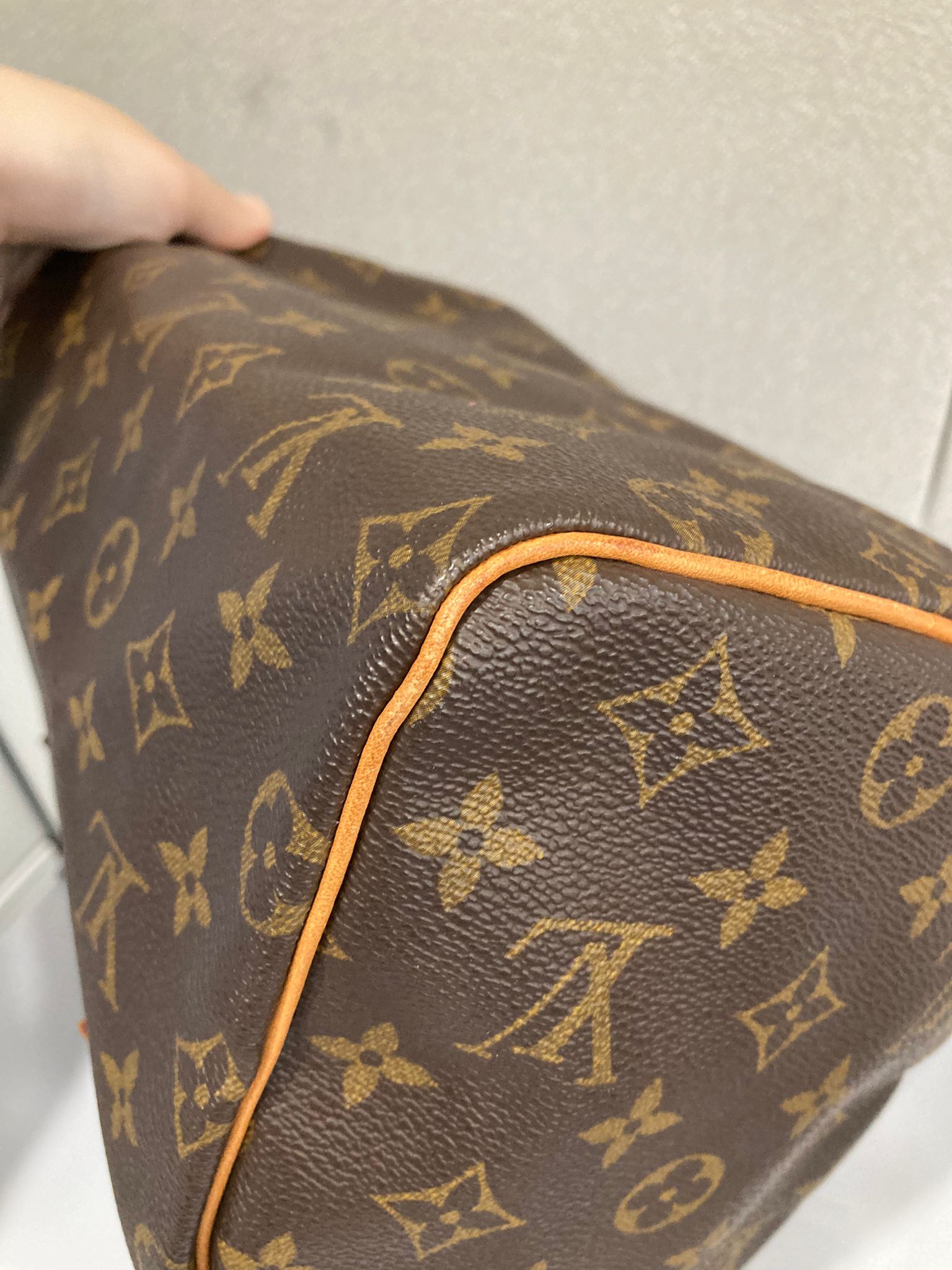 Louis Vuitton Speedy 25 Monogram